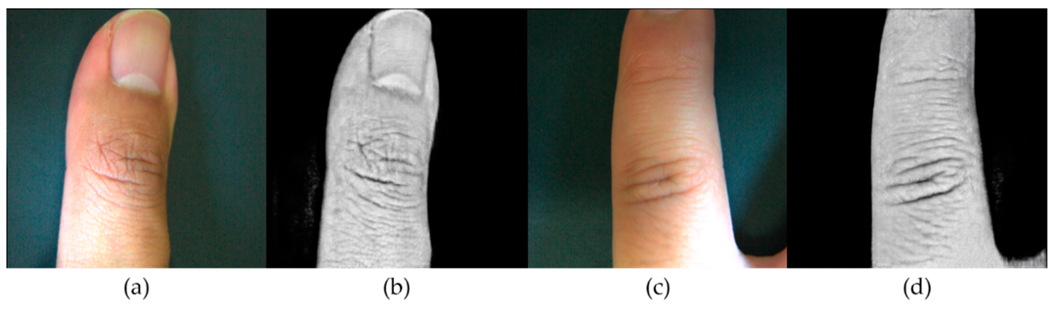 Electronics 07 00336 g004 Electronics 07 00336 g004