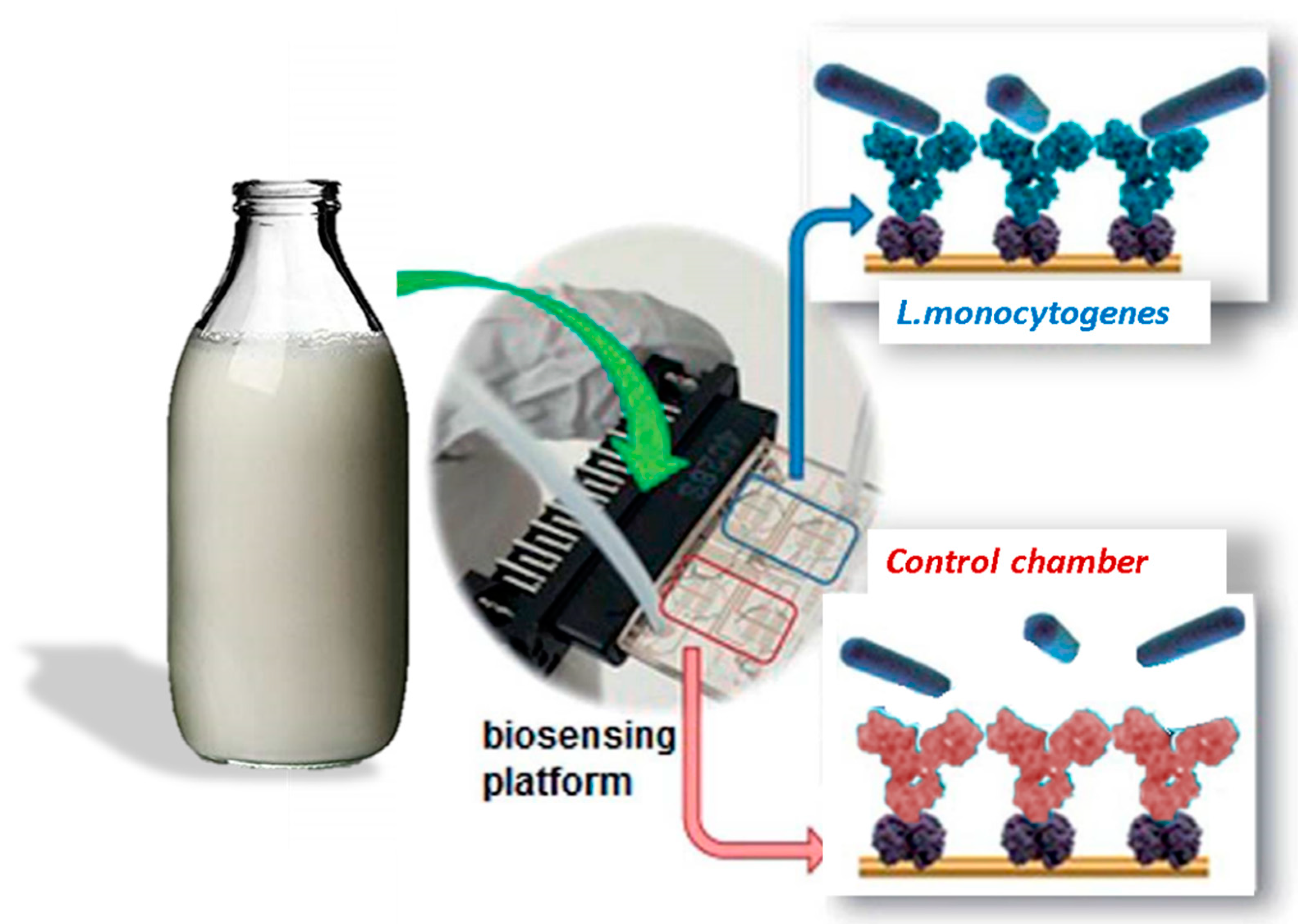 Electronics 07 00347 g002