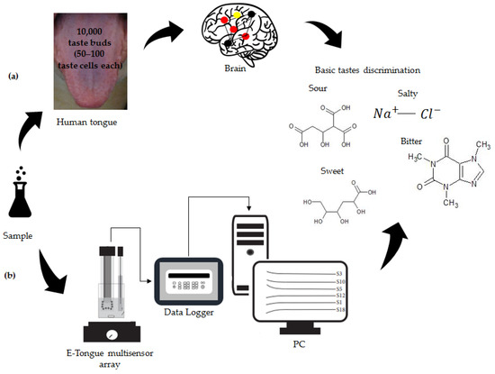 Electronics Free Full Text Electrochemical Sensor Based Devices For Assessing Bioactive Compounds In Olive Oils A Brief Review Html