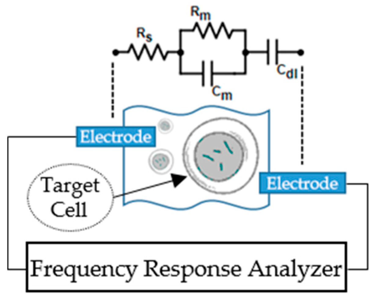 Electronics 08 00038 g019 550