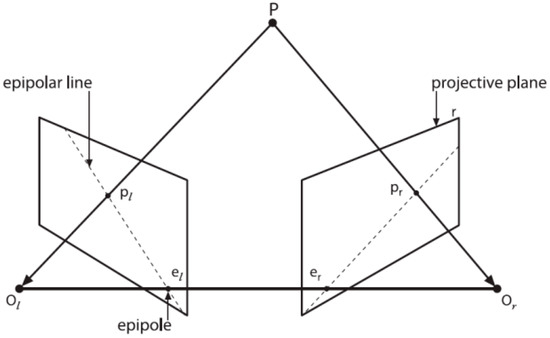 projective kurtis