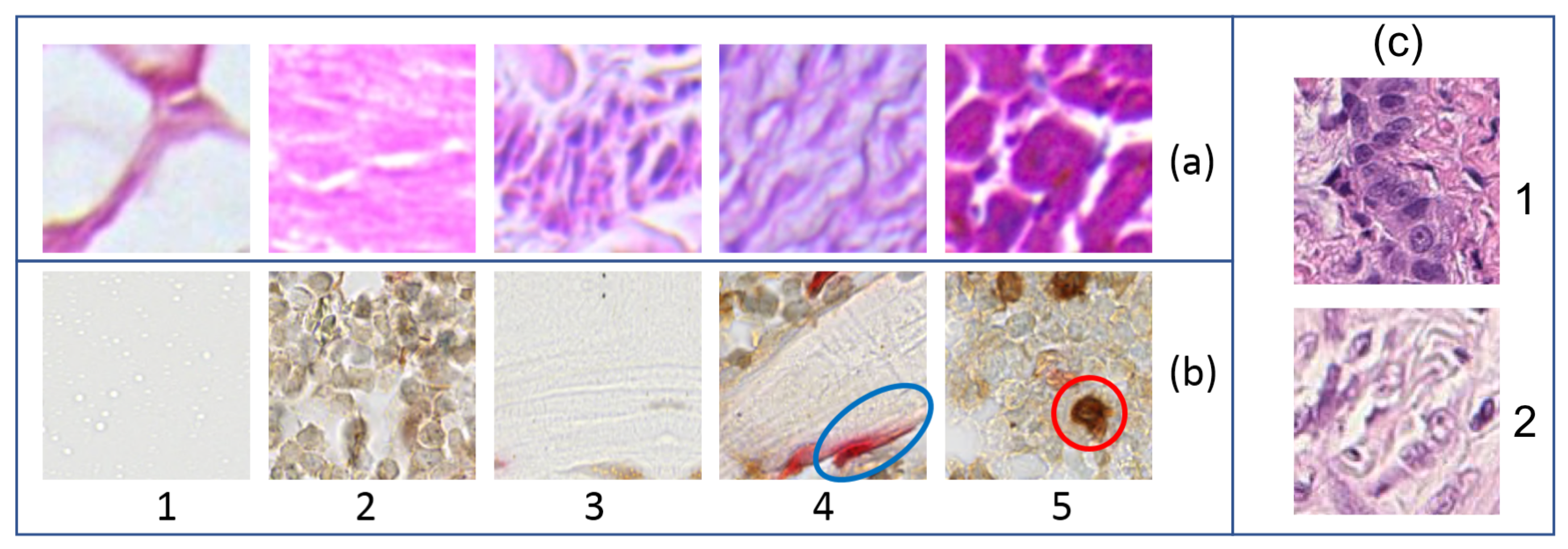 Electronics 08 00256 g003