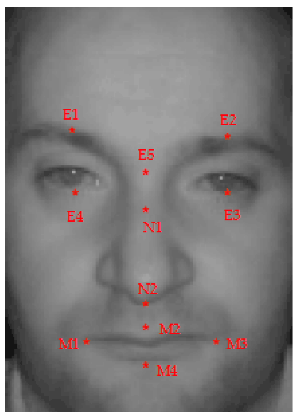 Electronics 08 00385 g003 550