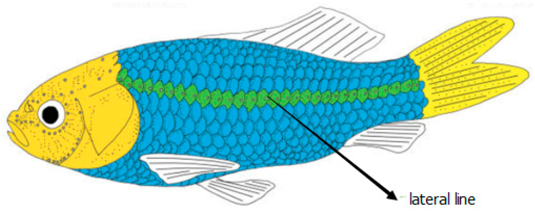 Electronics 08 00566 g002