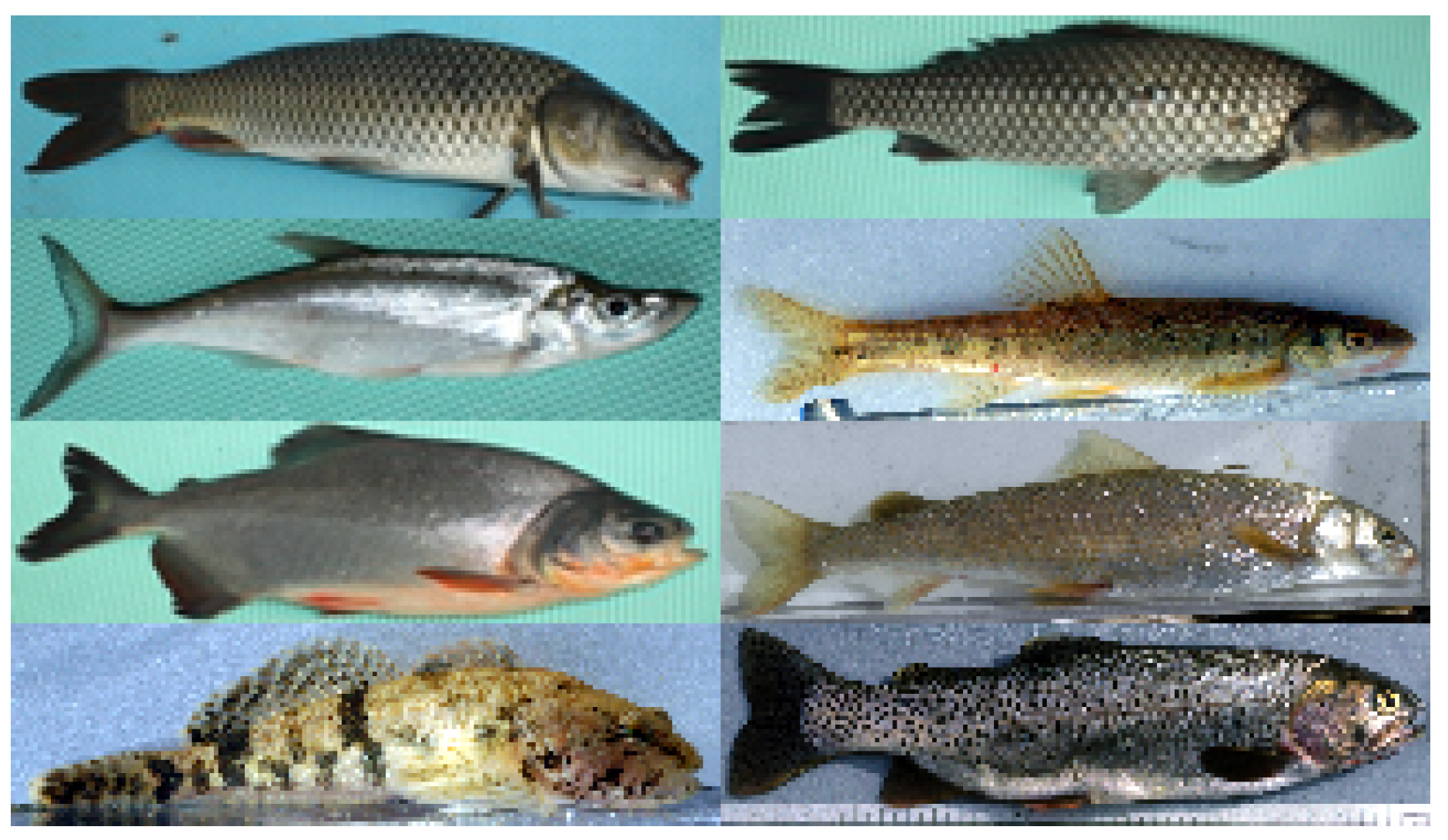 Electronics 08 00588 g017 Electronics 08 00588 g017