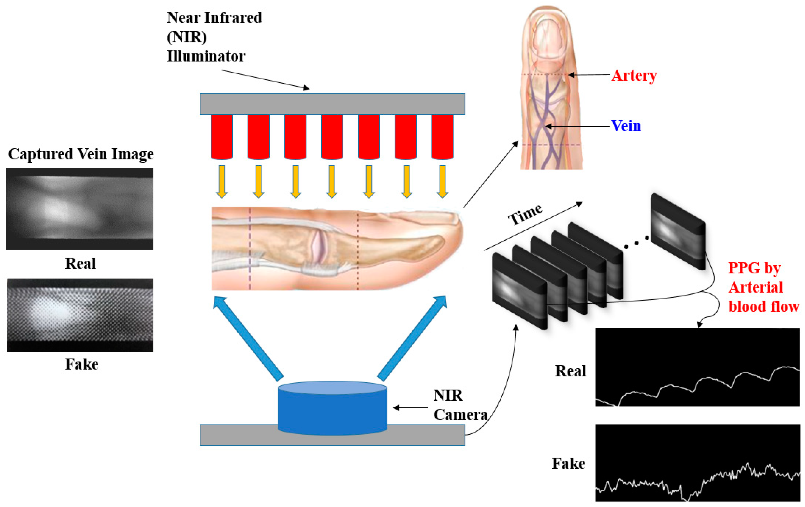 Carpal Tunnel Syndrome Symptoms - Chester County Hospital | Penn Medicine