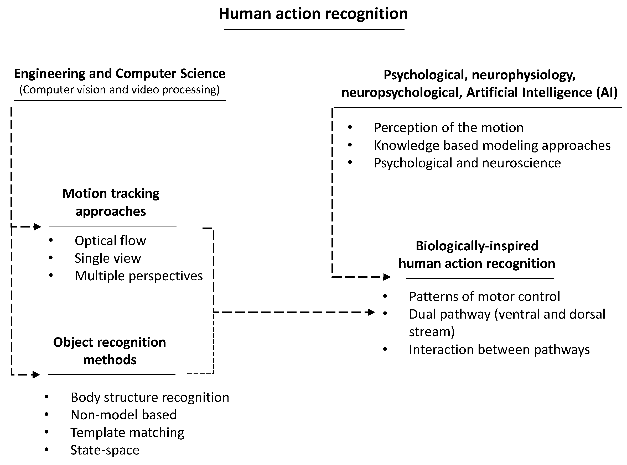 Electronics Free Full Text Biologically Inspired Computational Neural Mechanism For Human Action Activity Recognition A Review Html