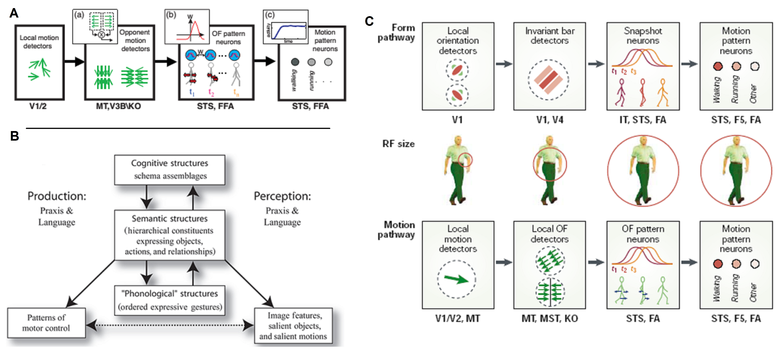 Electronics Free Full Text Biologically Inspired Computational Neural Mechanism For Human Action Activity Recognition A Review Html