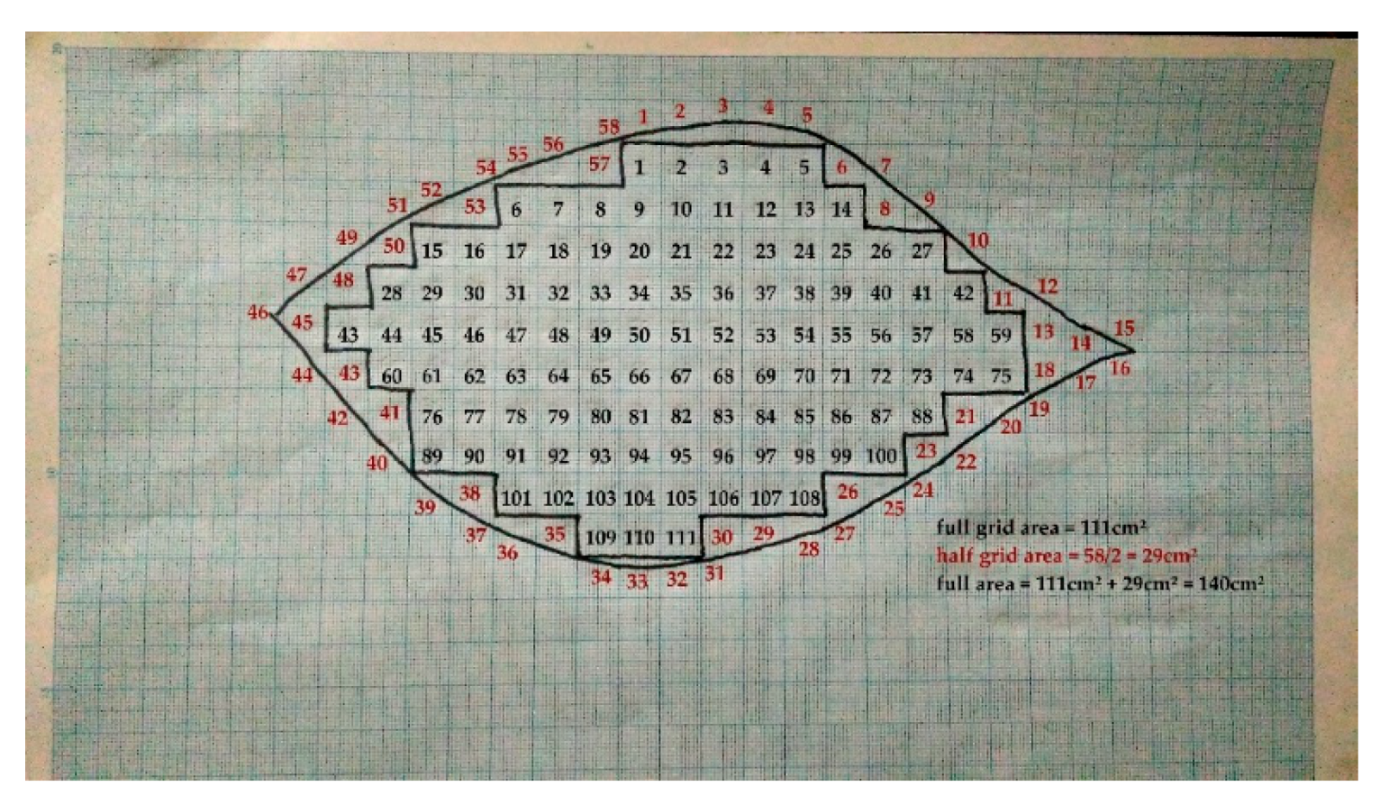 Electronics 08 01308 g007