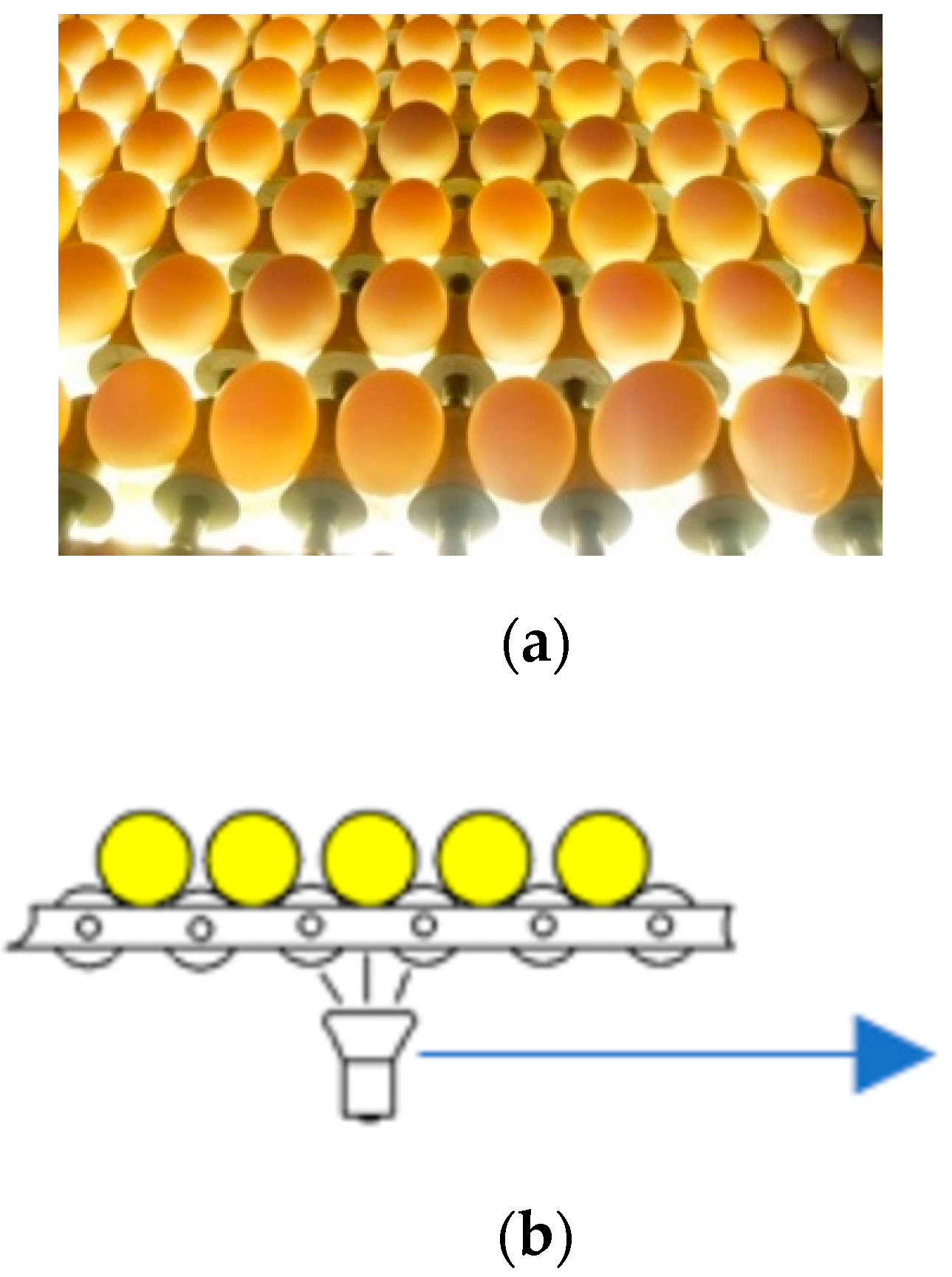 Electronics 08 01367 g002