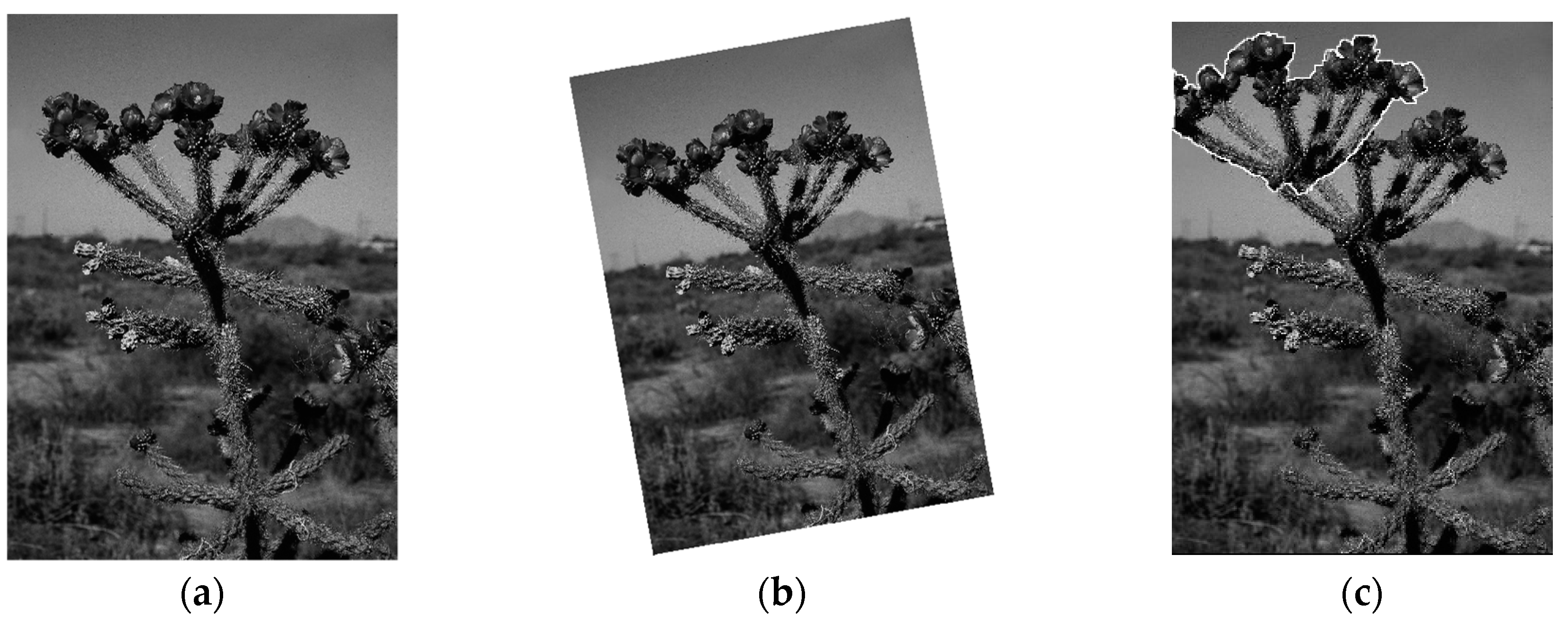 Electronics 08 01431 g005a Electronics 08 01431 g005a