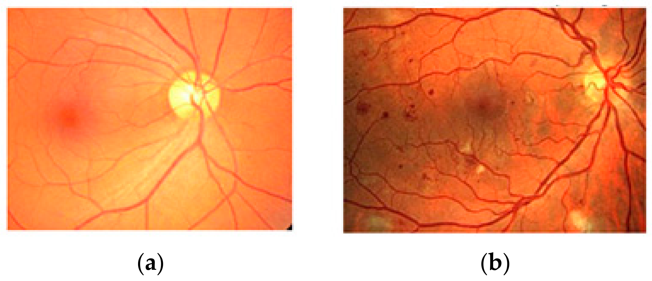 Electronics 08 01522 g001 Electronics 08 01522 g001