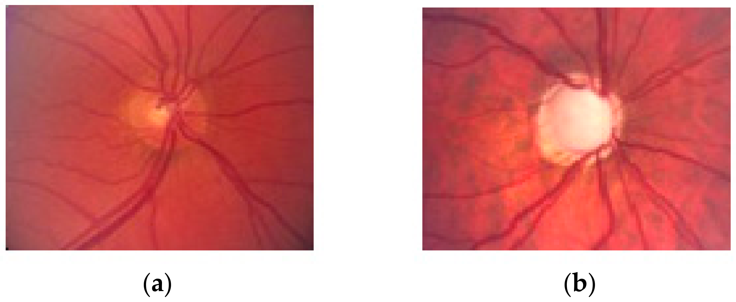 Electronics 08 01522 g002 Electronics 08 01522 g002