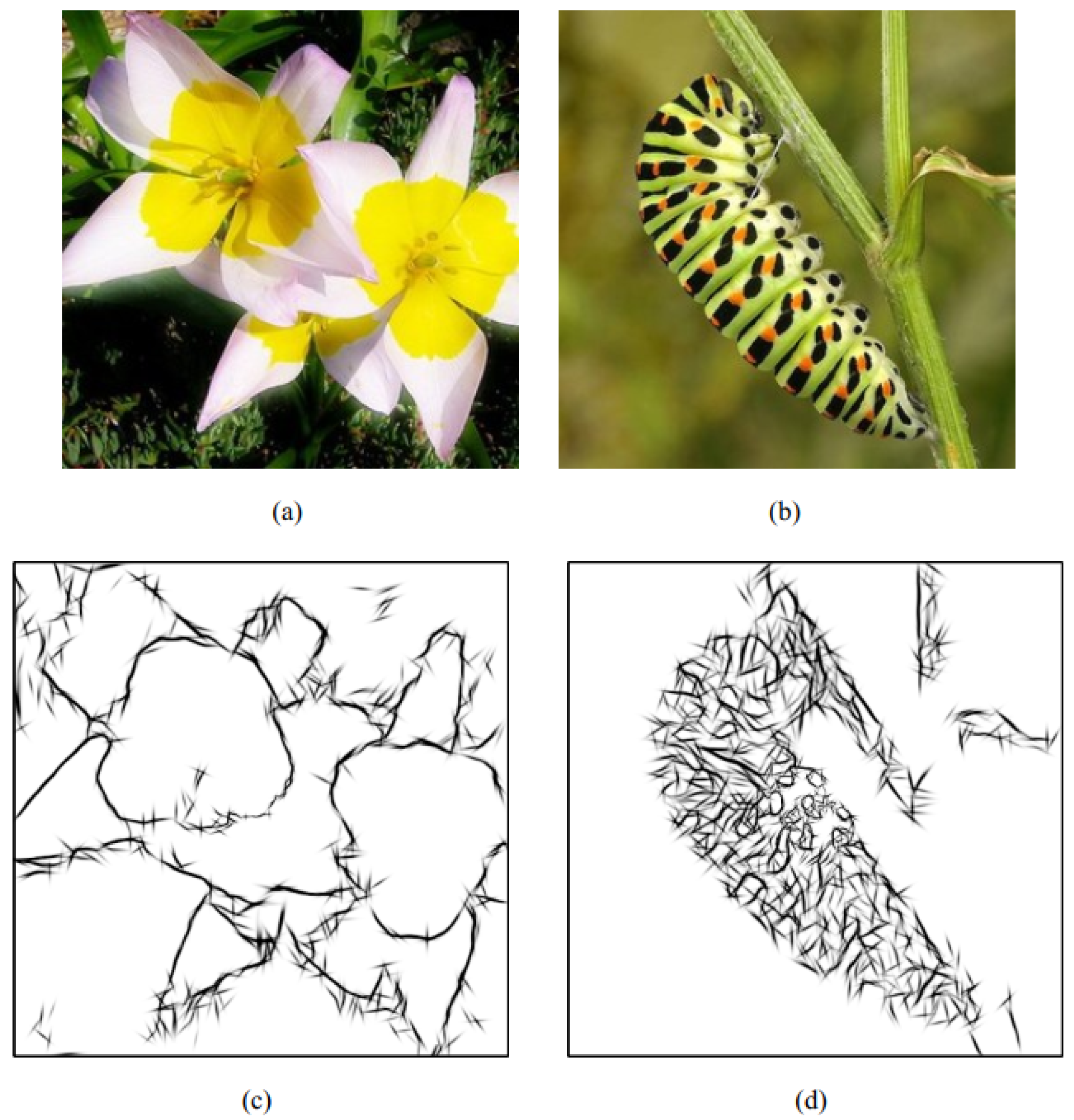 Electronics 09 00035 g009