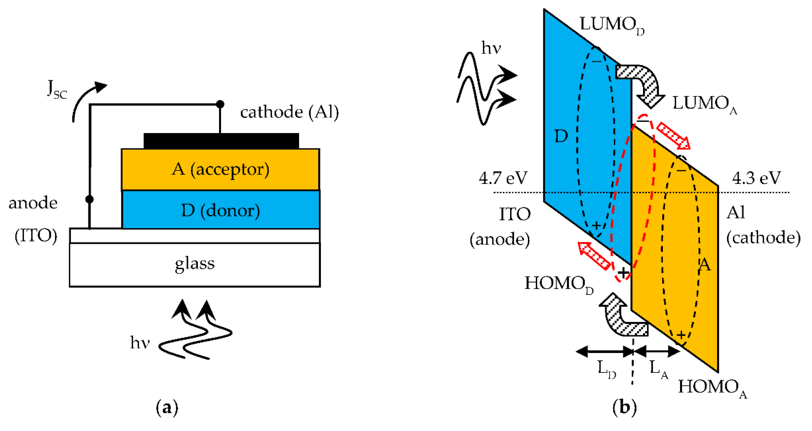 Organic Solar Cell Diagram Organic Solar Cell Diagram