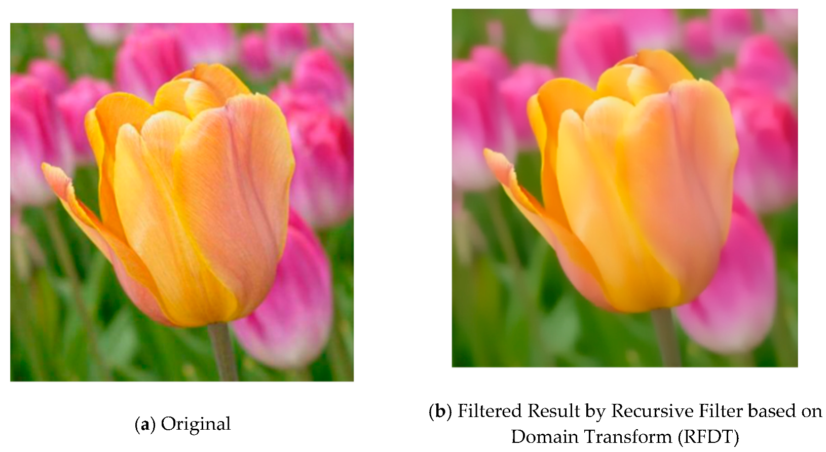 Electronics 09 00156 g002 Electronics 09 00156 g002