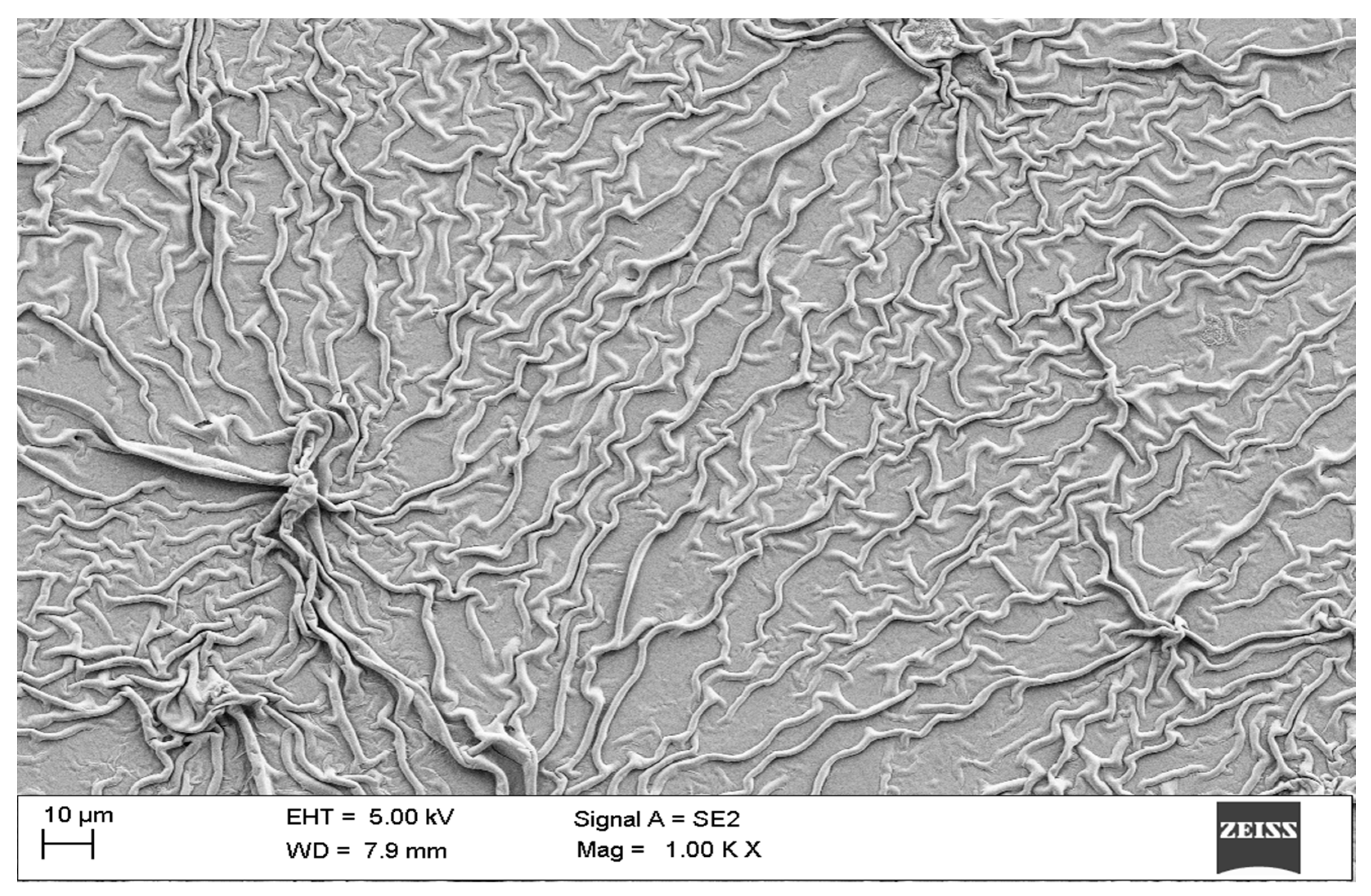 Electronics 09 00287 g002 Electronics 09 00287 g002