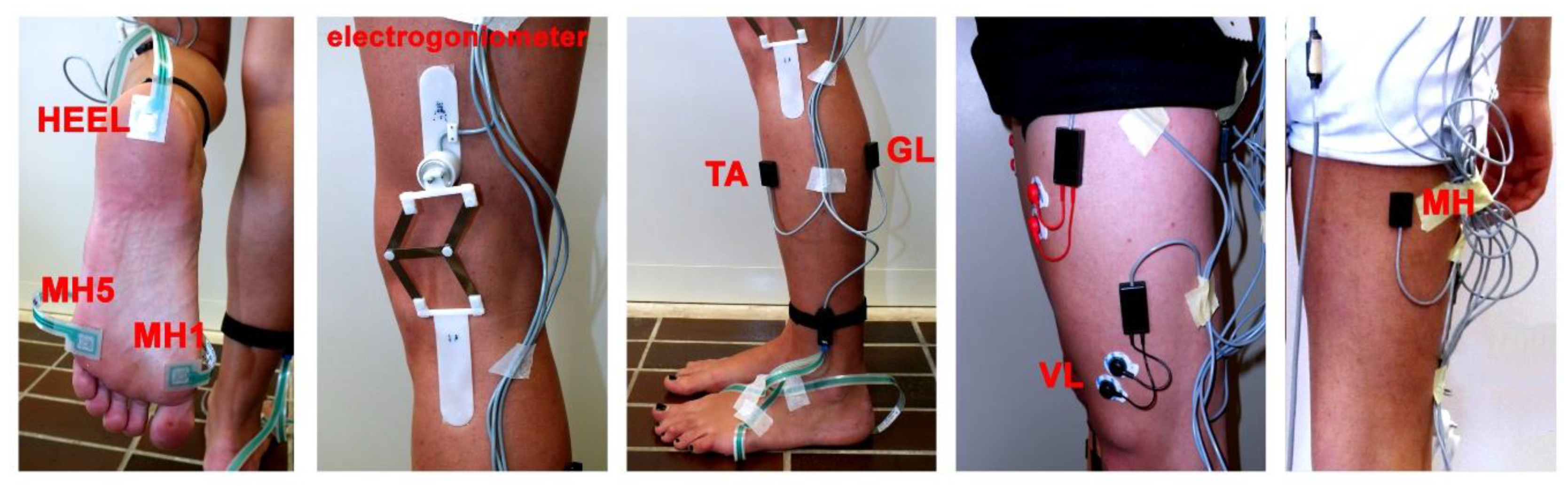 Electronics 09 00355 g001 Electronics 09 00355 g001