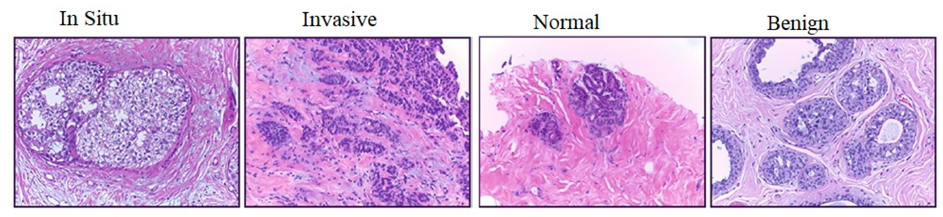 Electronics 09 00445 g002