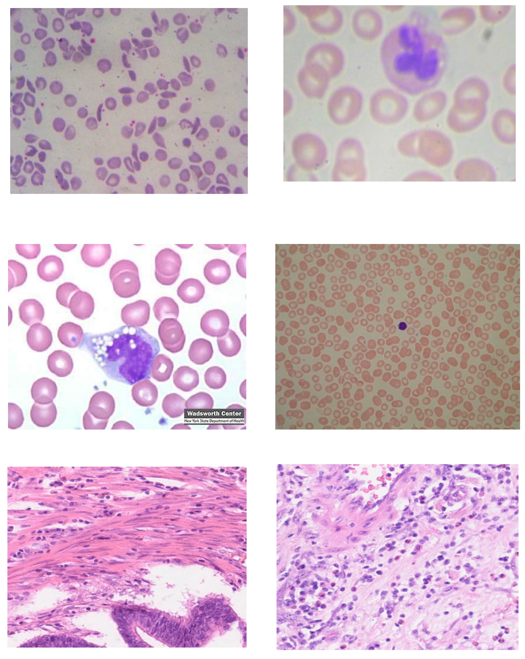 Electronics 09 00445 g003