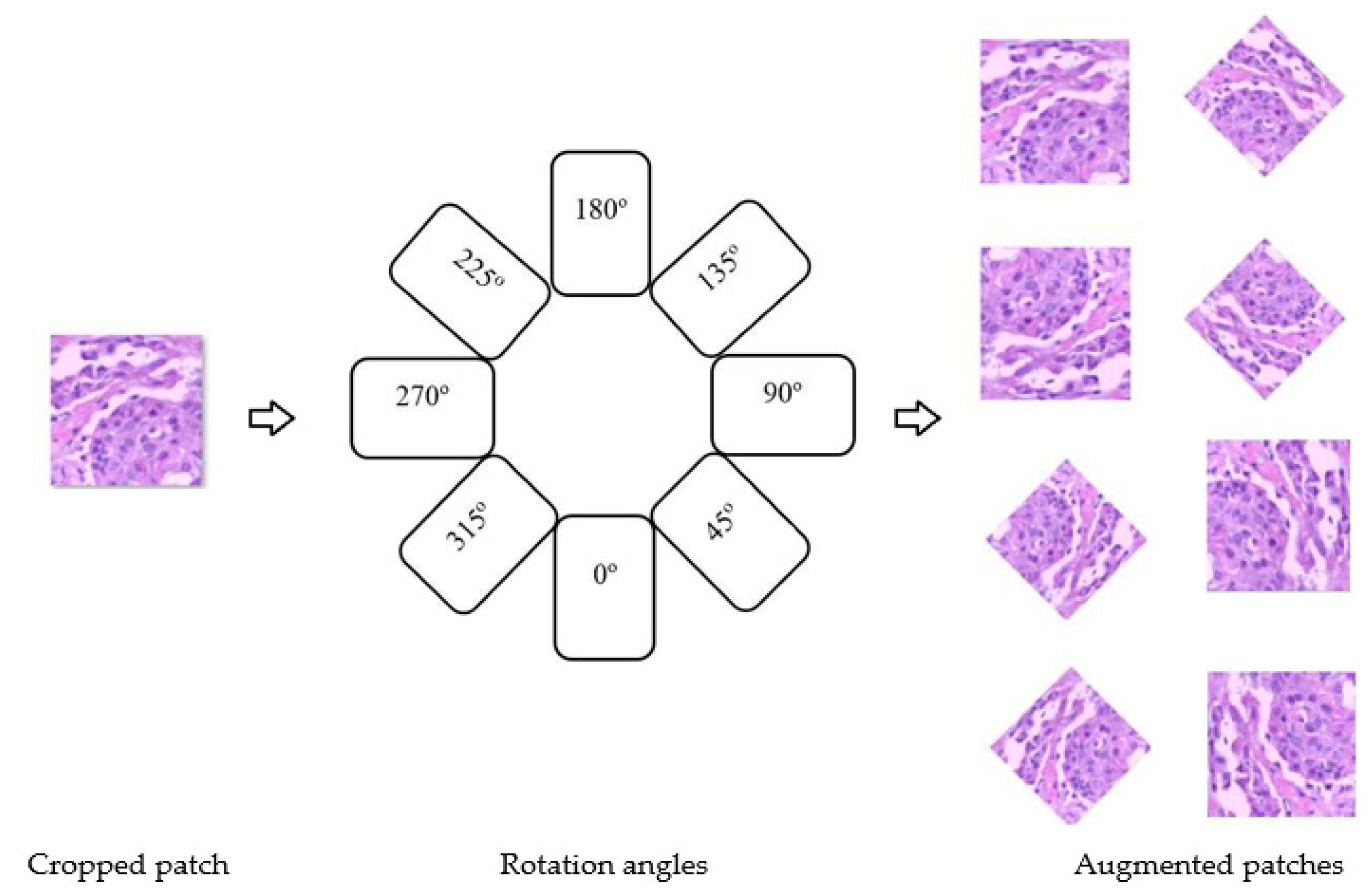 Electronics 09 00445 g005