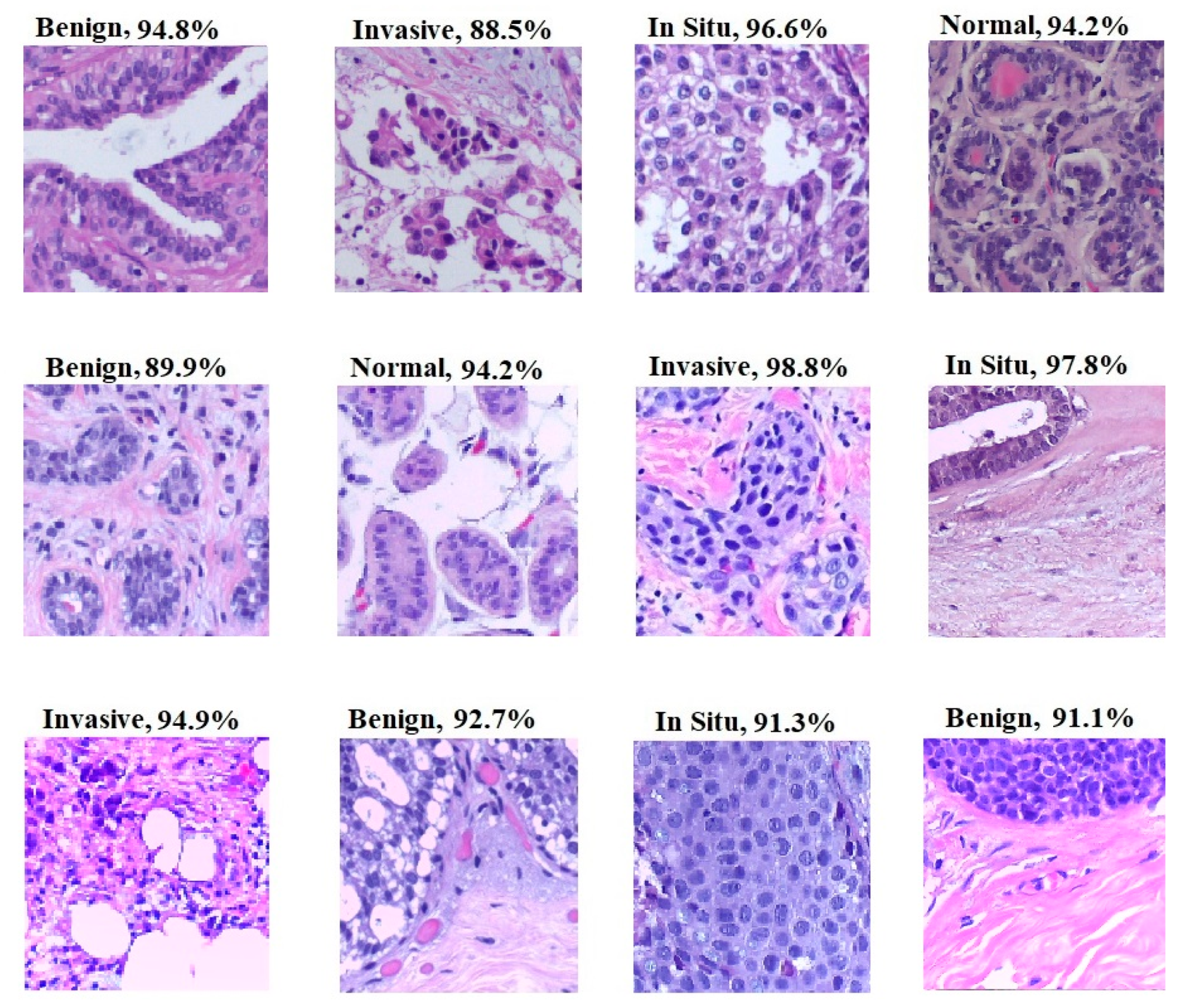 Electronics 09 00445 g014
