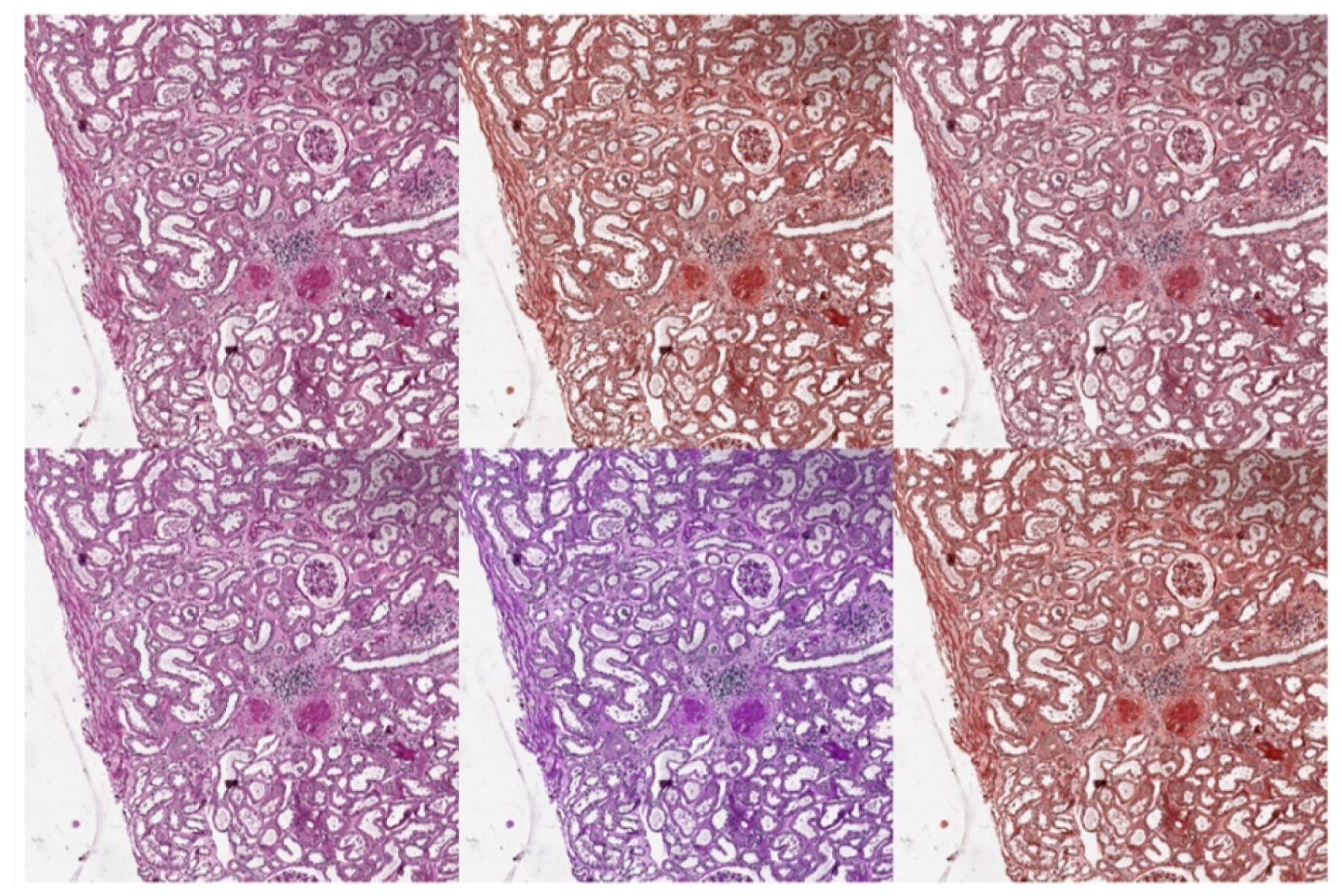 Electronics 09 00503 g008