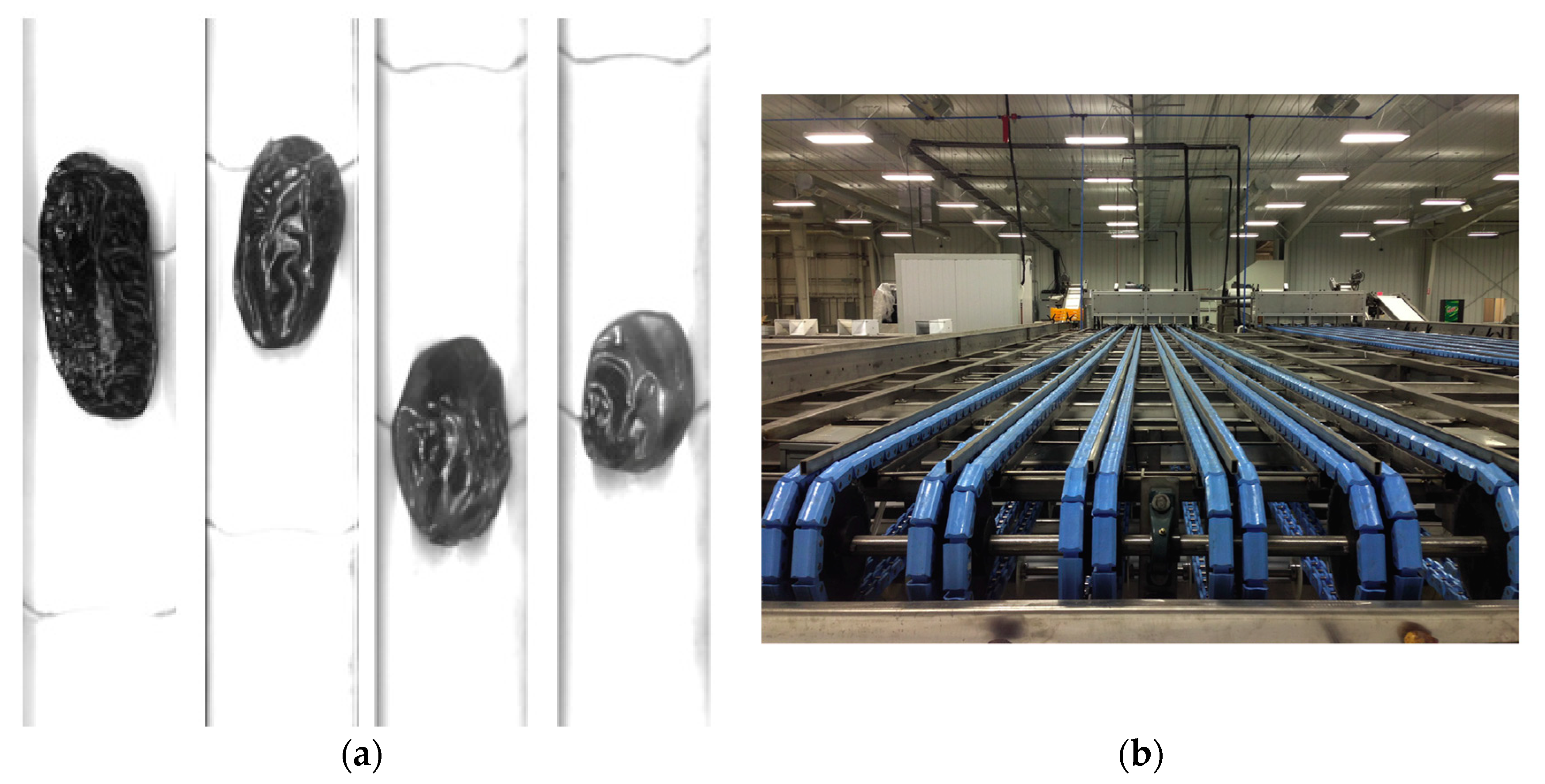 Electronics 09 00505 g008