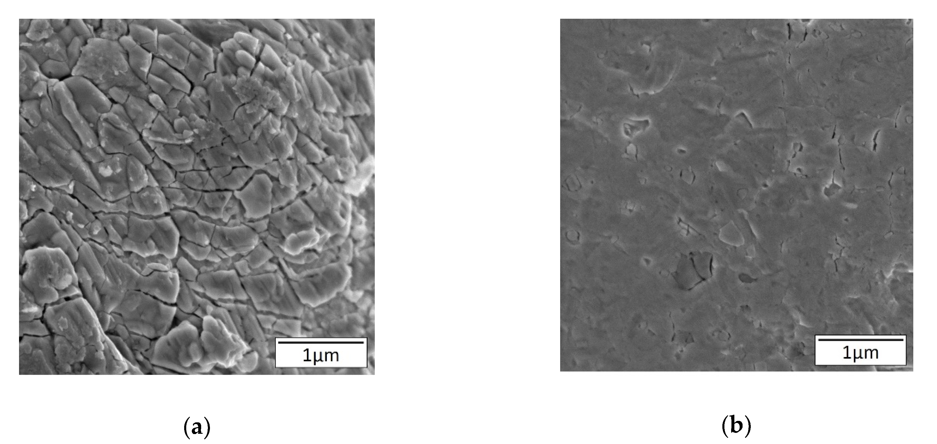 Electronics Free Full Text Thermoelectric Performance Enhancement Of Naturally Occurring Bi And Chitosan Composite Films Using Energy Efficient Method Electronics Free Full Text Thermoelectric Performance Enhancement Of Naturally Occurring Bi And Chitosan Composite Films Using Energy Efficient Method