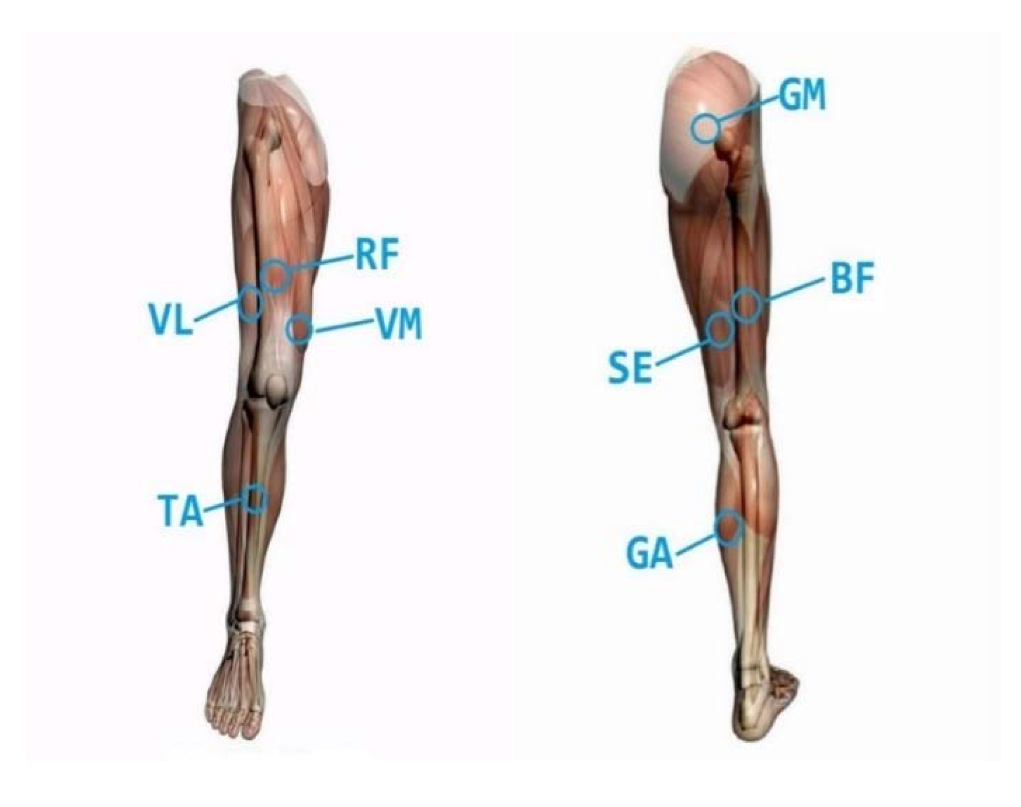 Electronics 09 00556 g003 Electronics 09 00556 g003