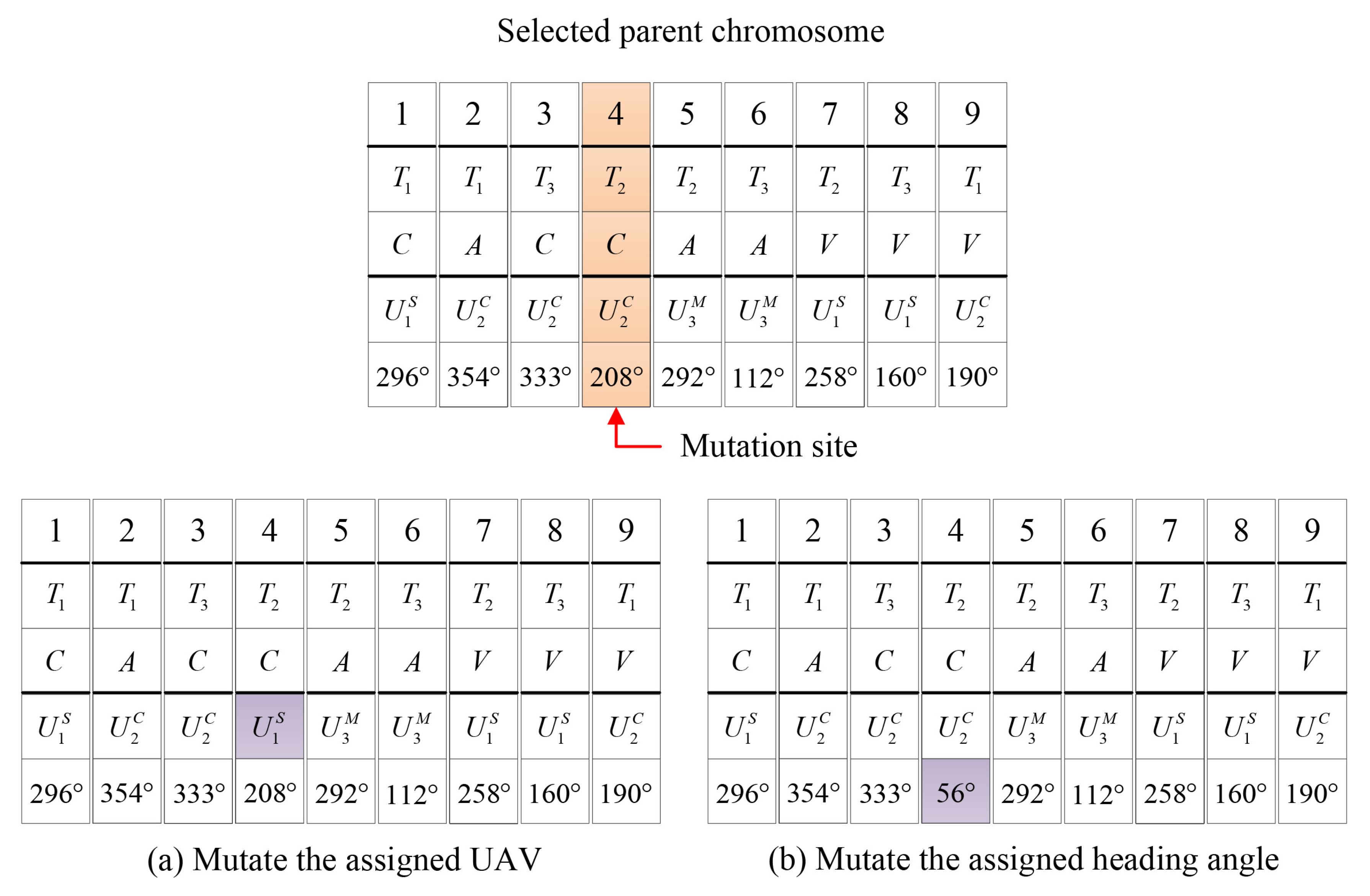 Electronics 09 00687 g006