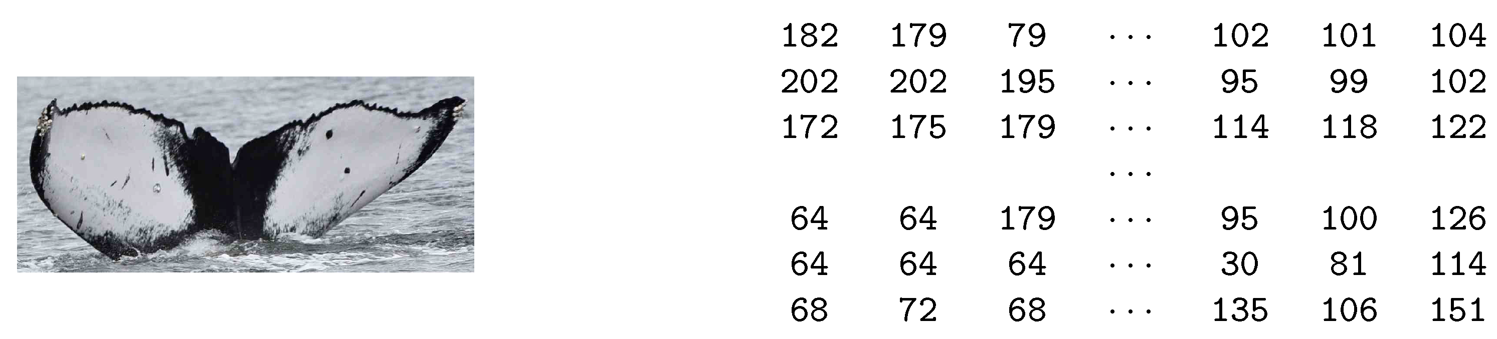 Electronics 09 00731 g002