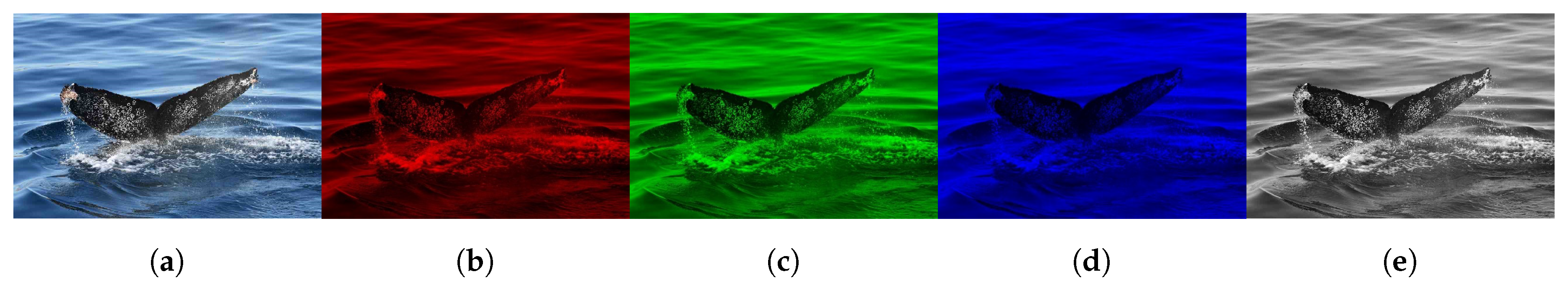 Electronics 09 00731 g006