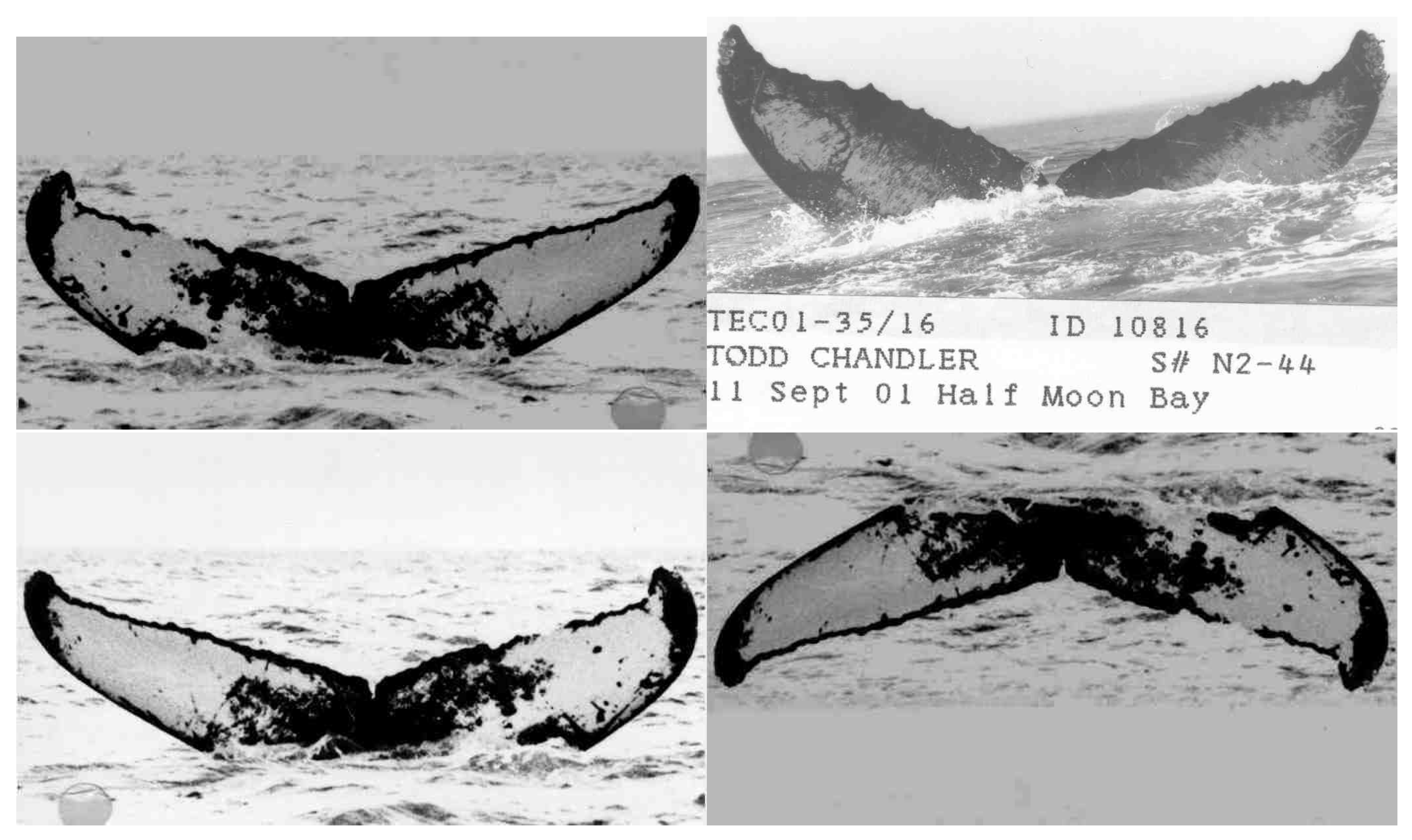 Electronics 09 00731 g010