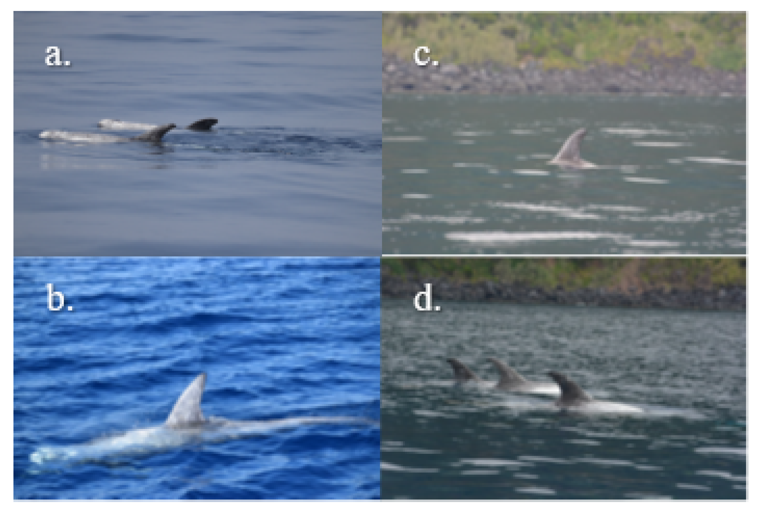 Electronics 09 00758 g003 Electronics 09 00758 g003