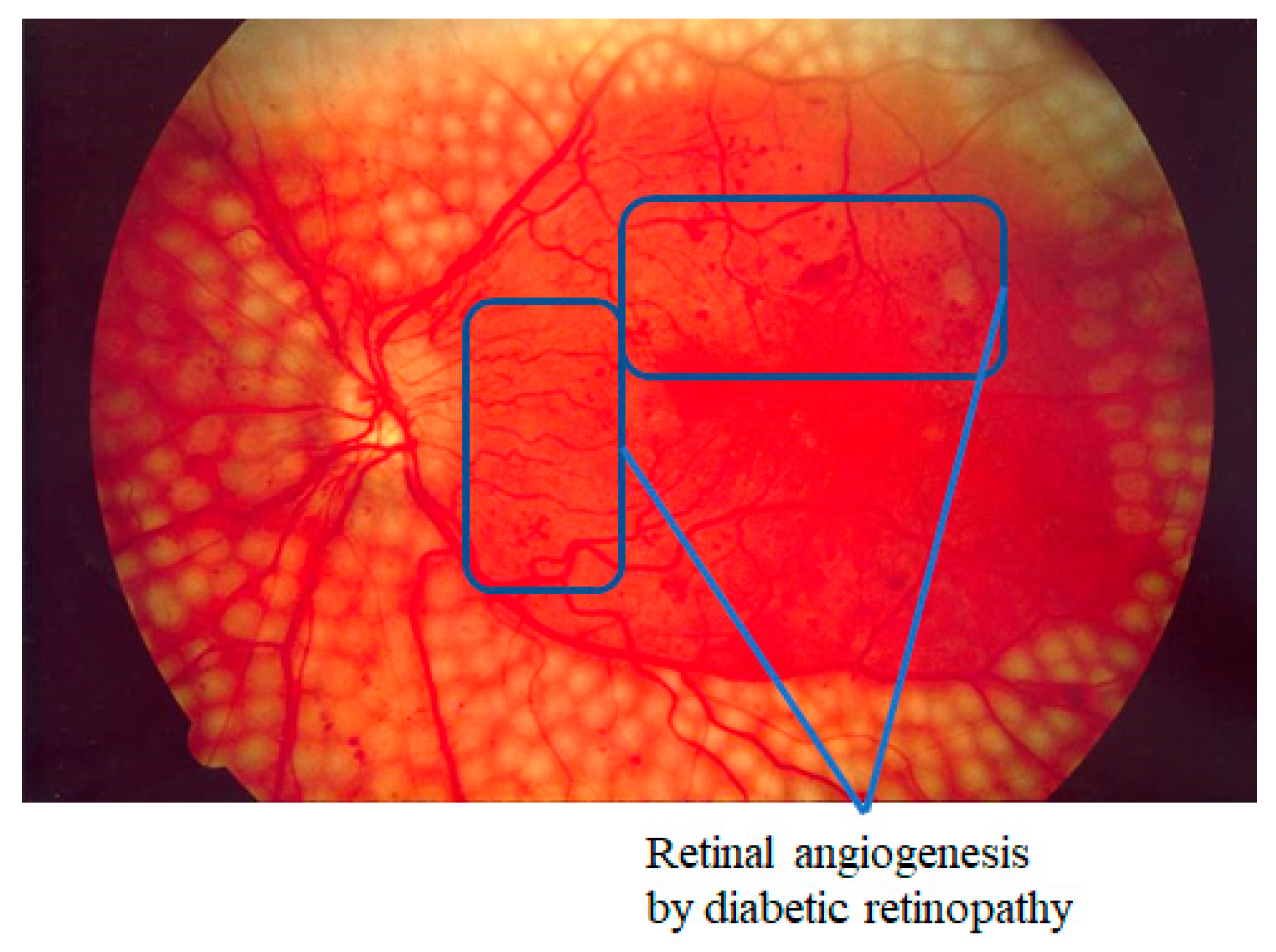 Electronics 09 00767 g003