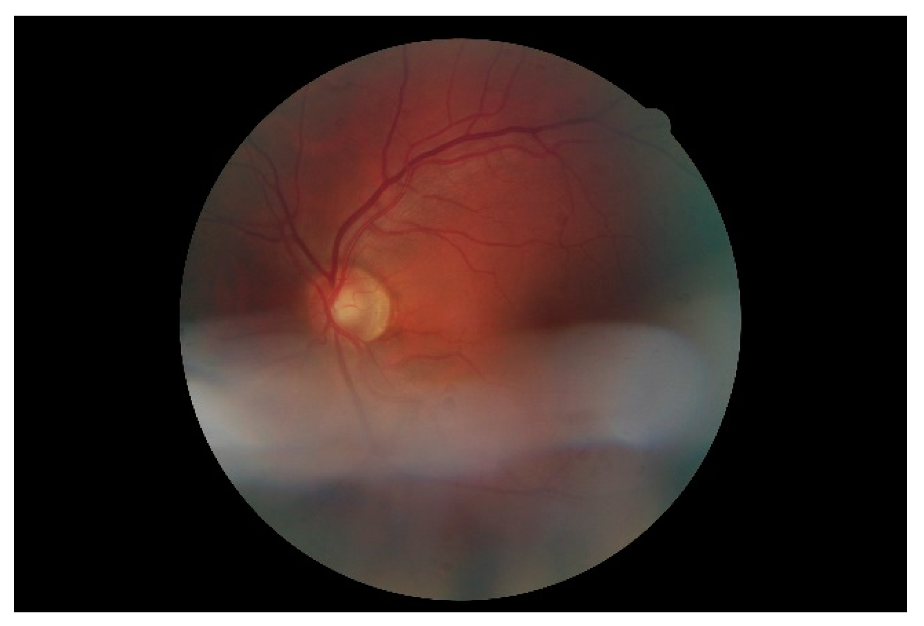 Electronics 09 00767 g008