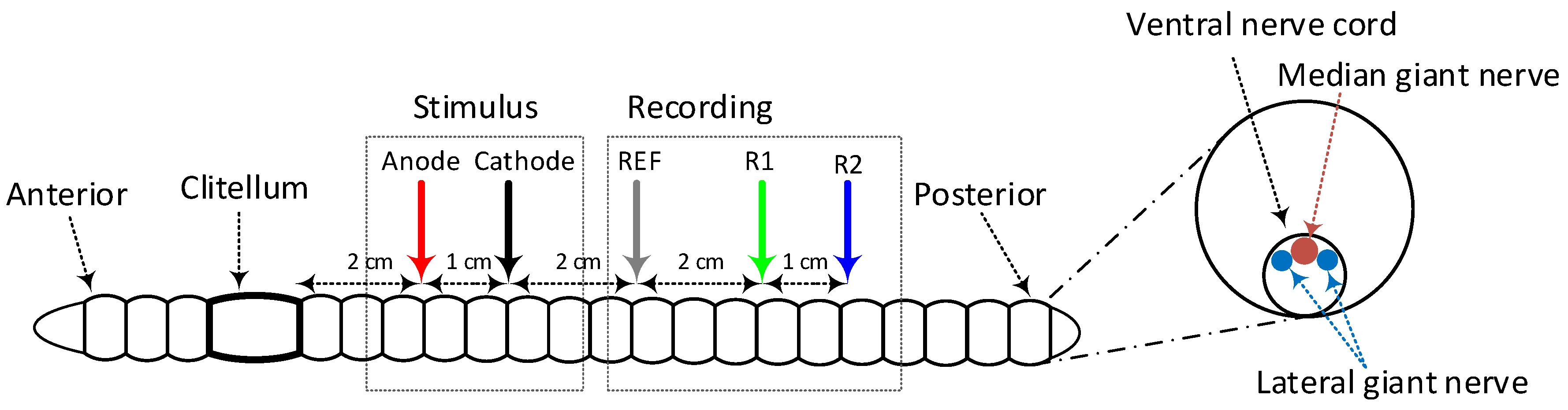 Electronics 09 00812 g012 Electronics 09 00812 g012