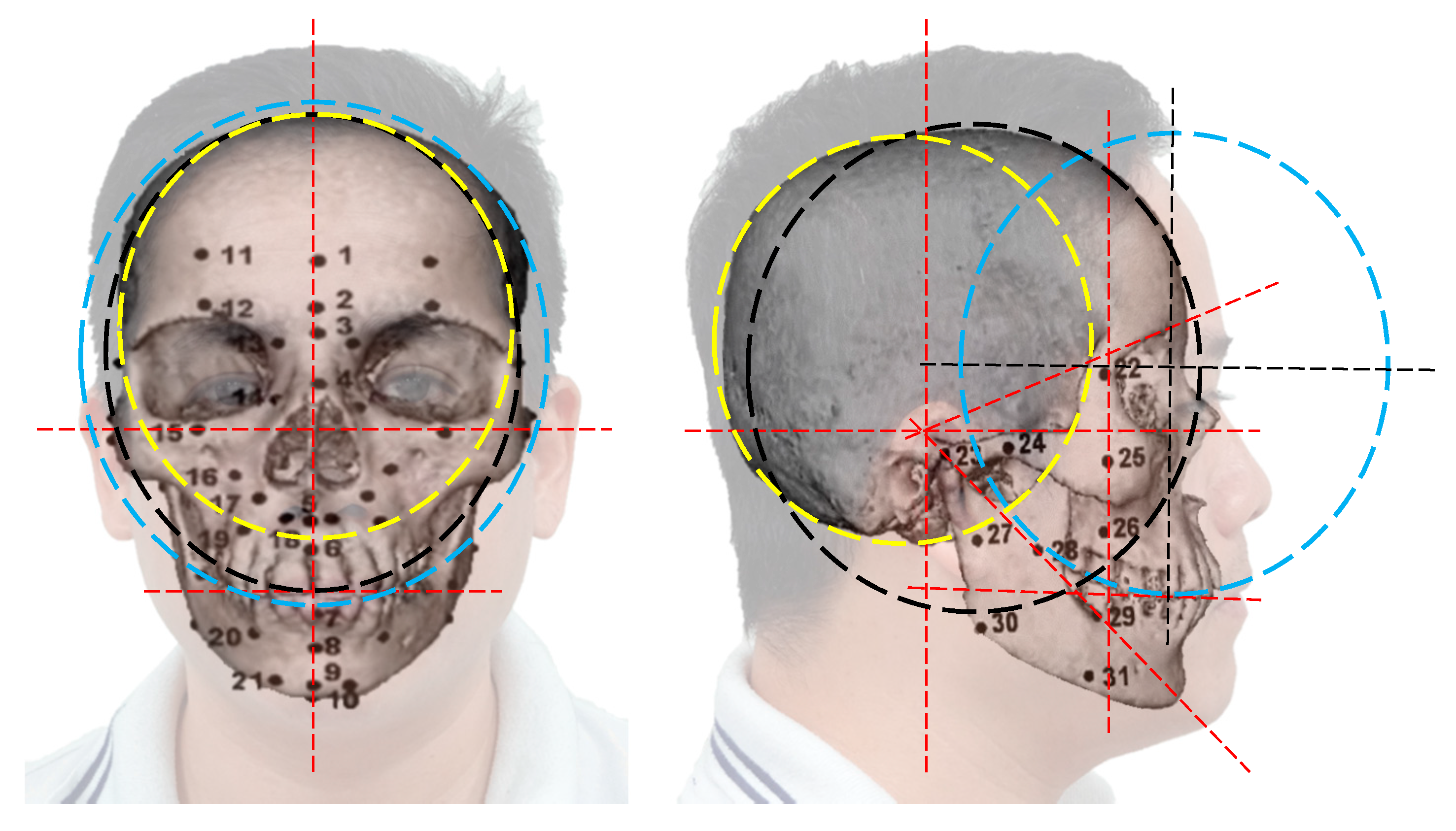 Electronics 09 00974 g003