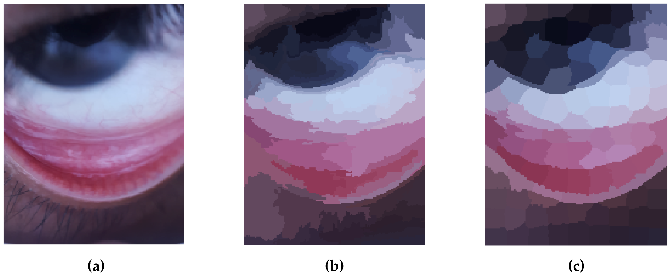 Electronics 09 00997 g003