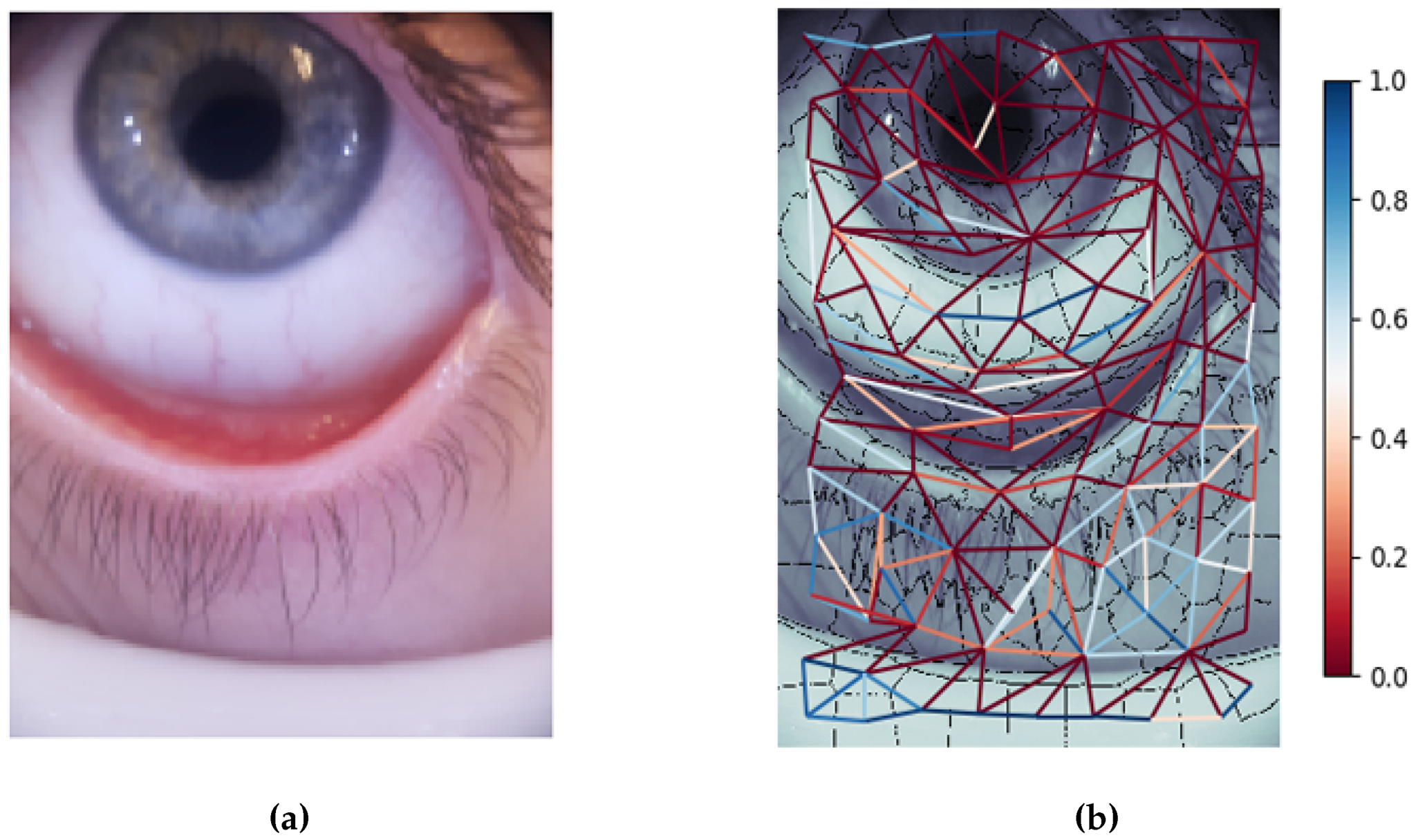 Electronics 09 00997 g004