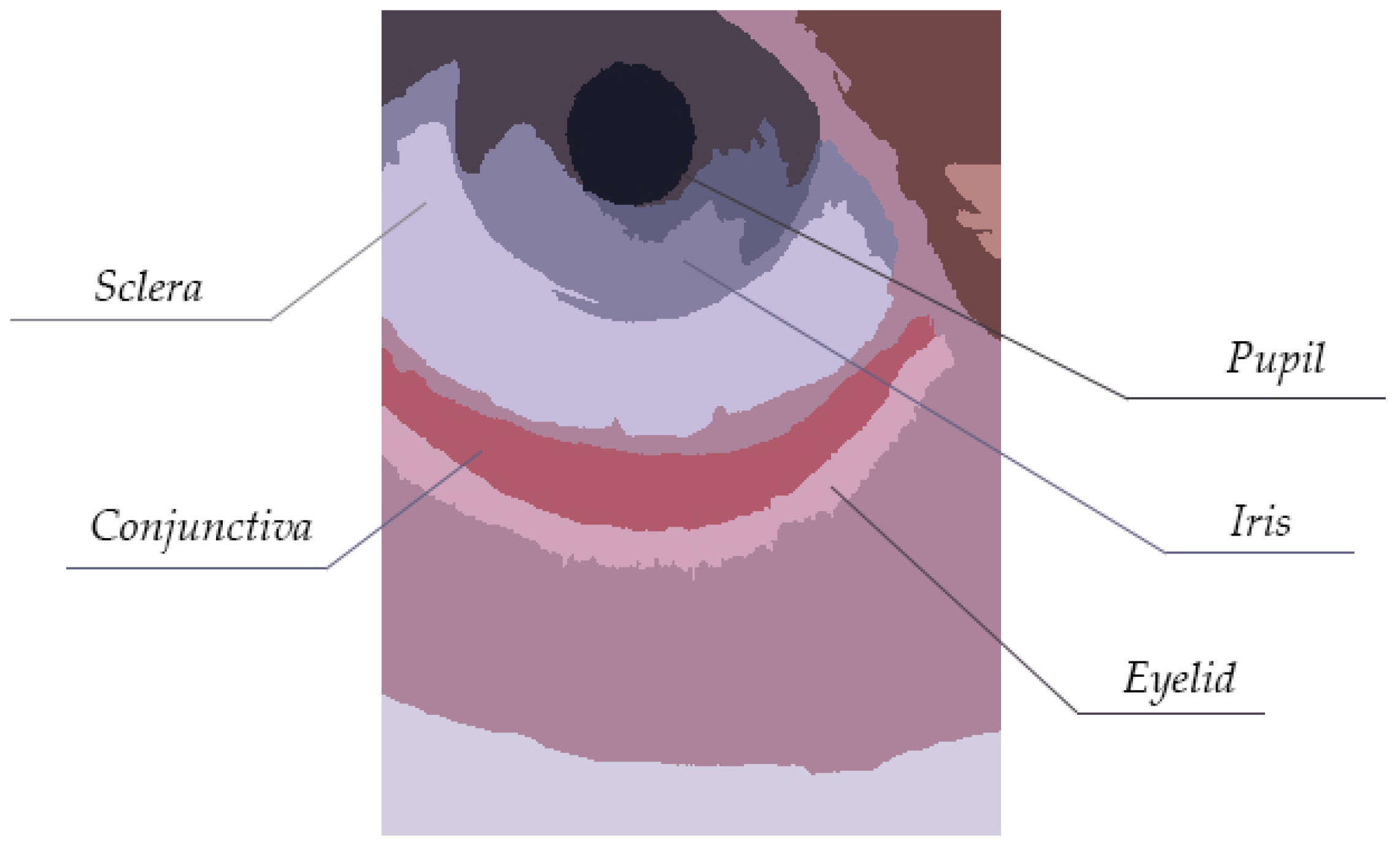 Electronics 09 00997 g005