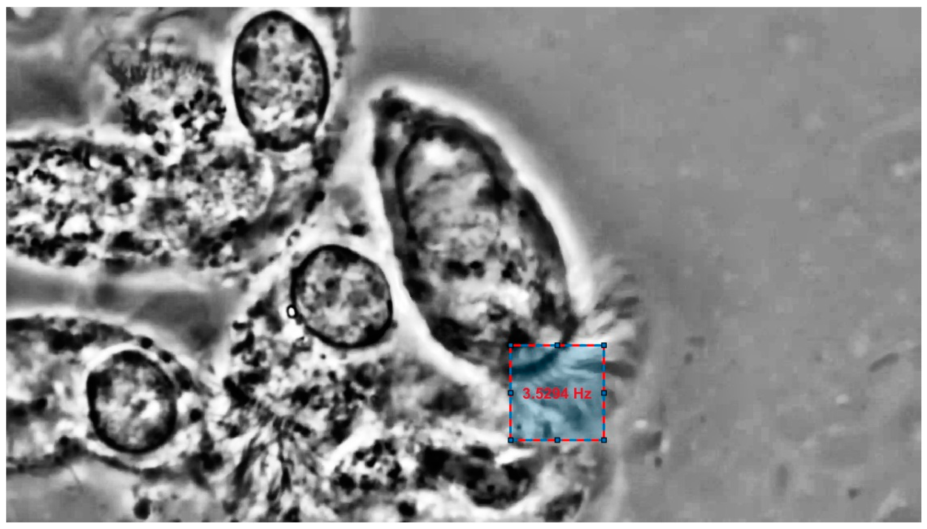 Electronics 09 01002 g008 Electronics 09 01002 g008