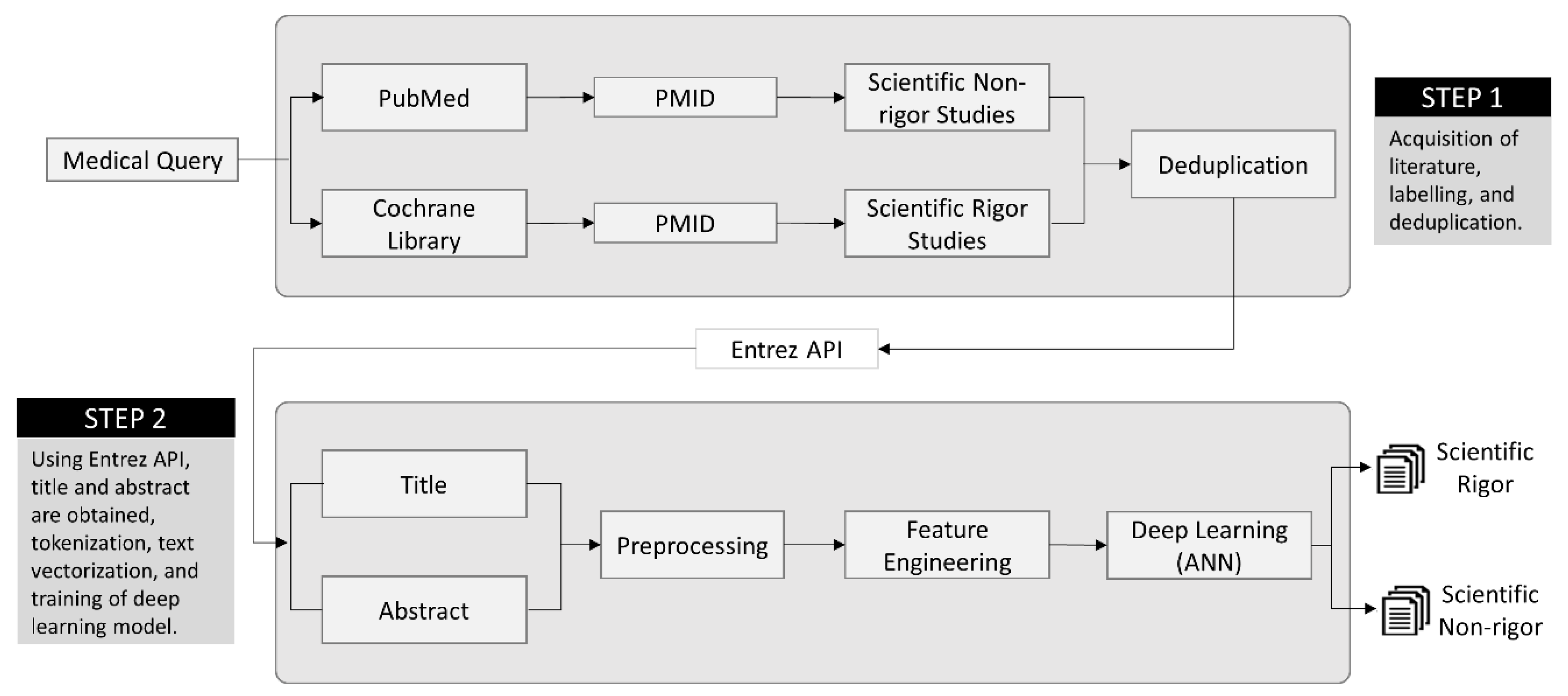 Gray's Clinical Photographic Dissector of the Hu