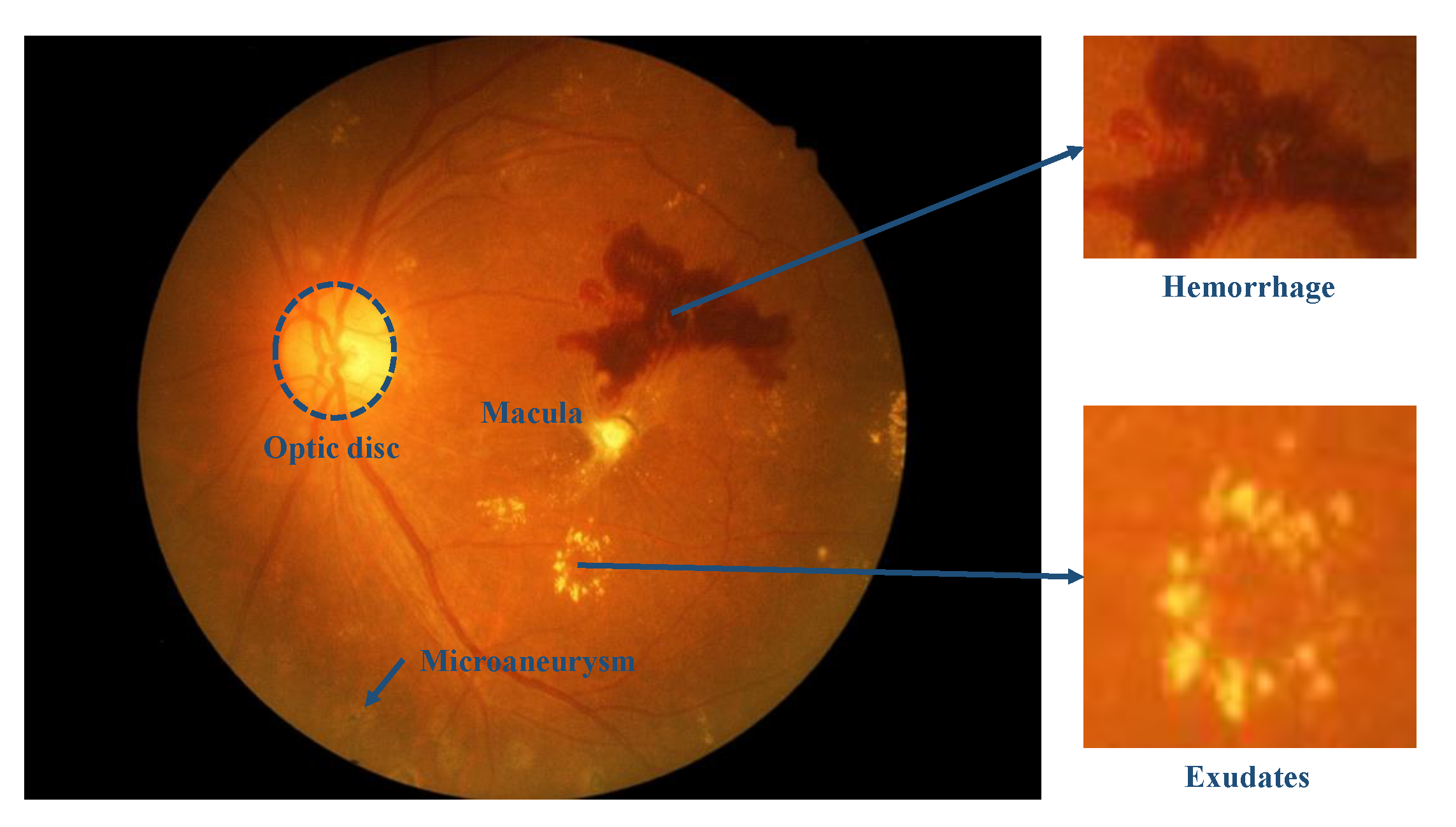 Electronics 09 01337 g001