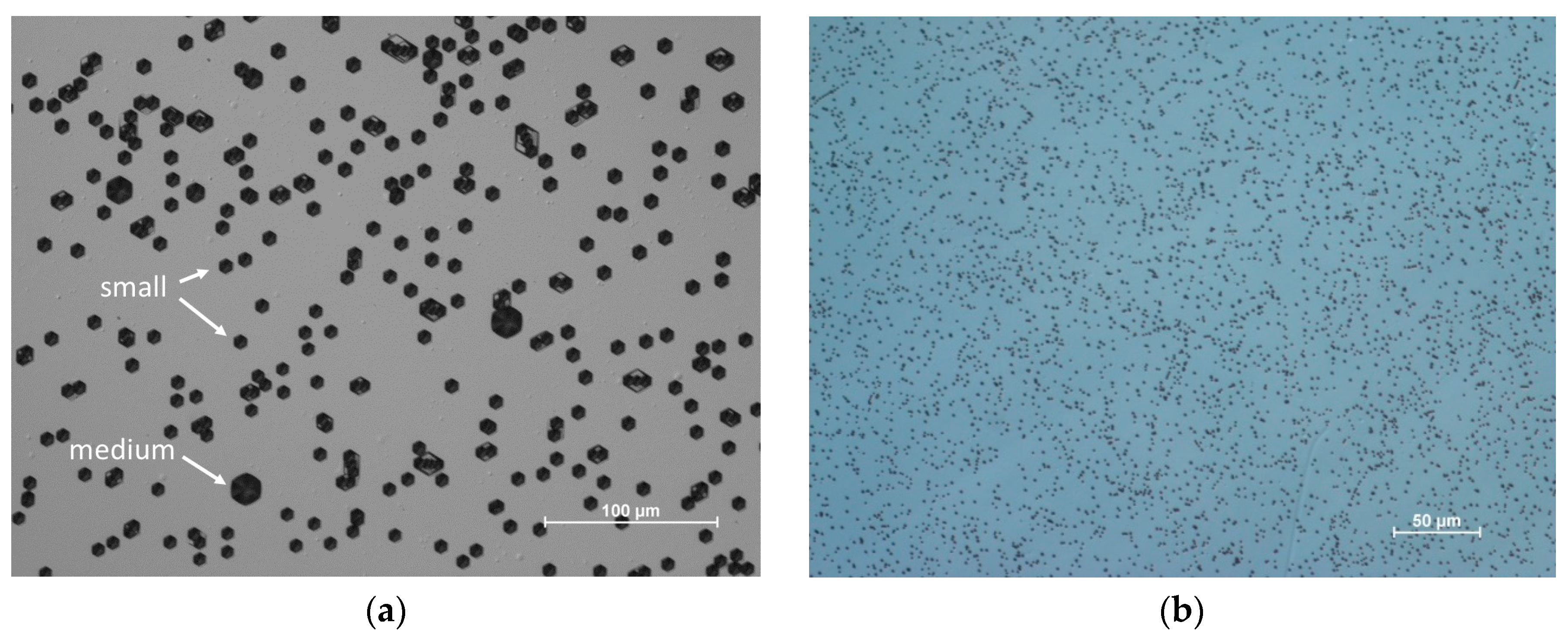 Electronics 09 01342 g001