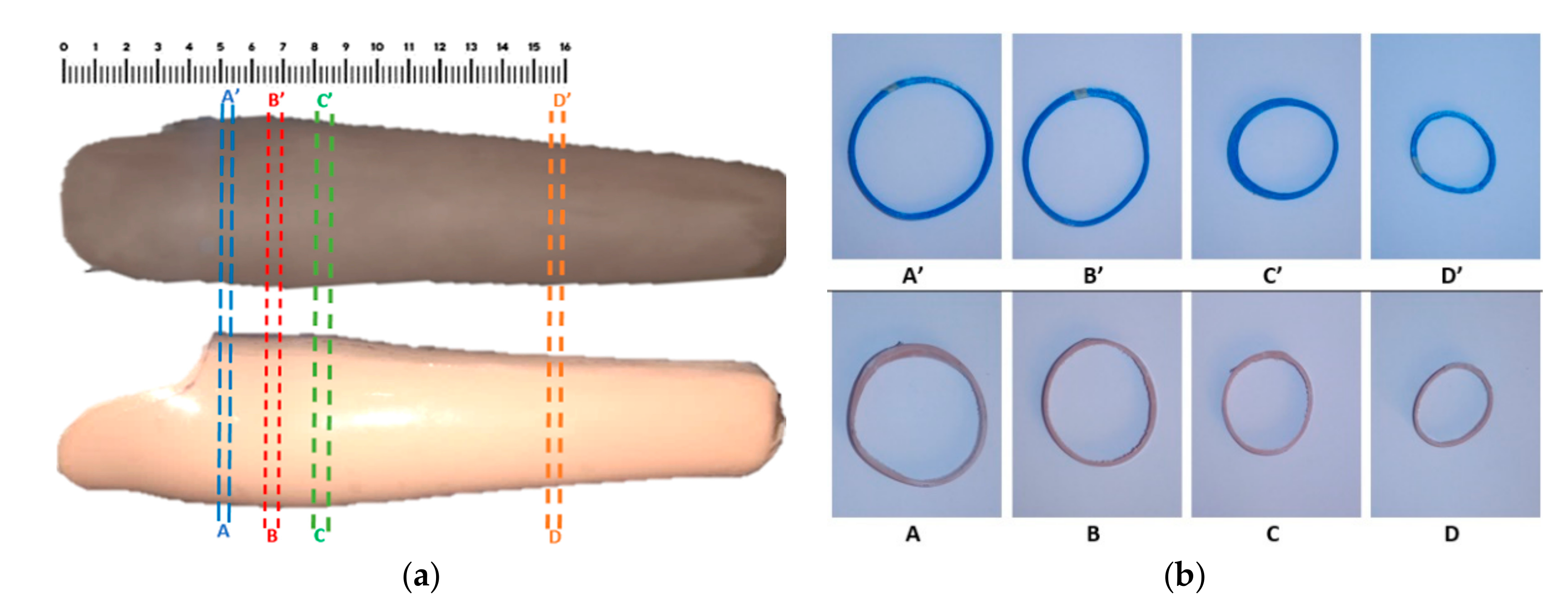 Electronics 09 01456 g006