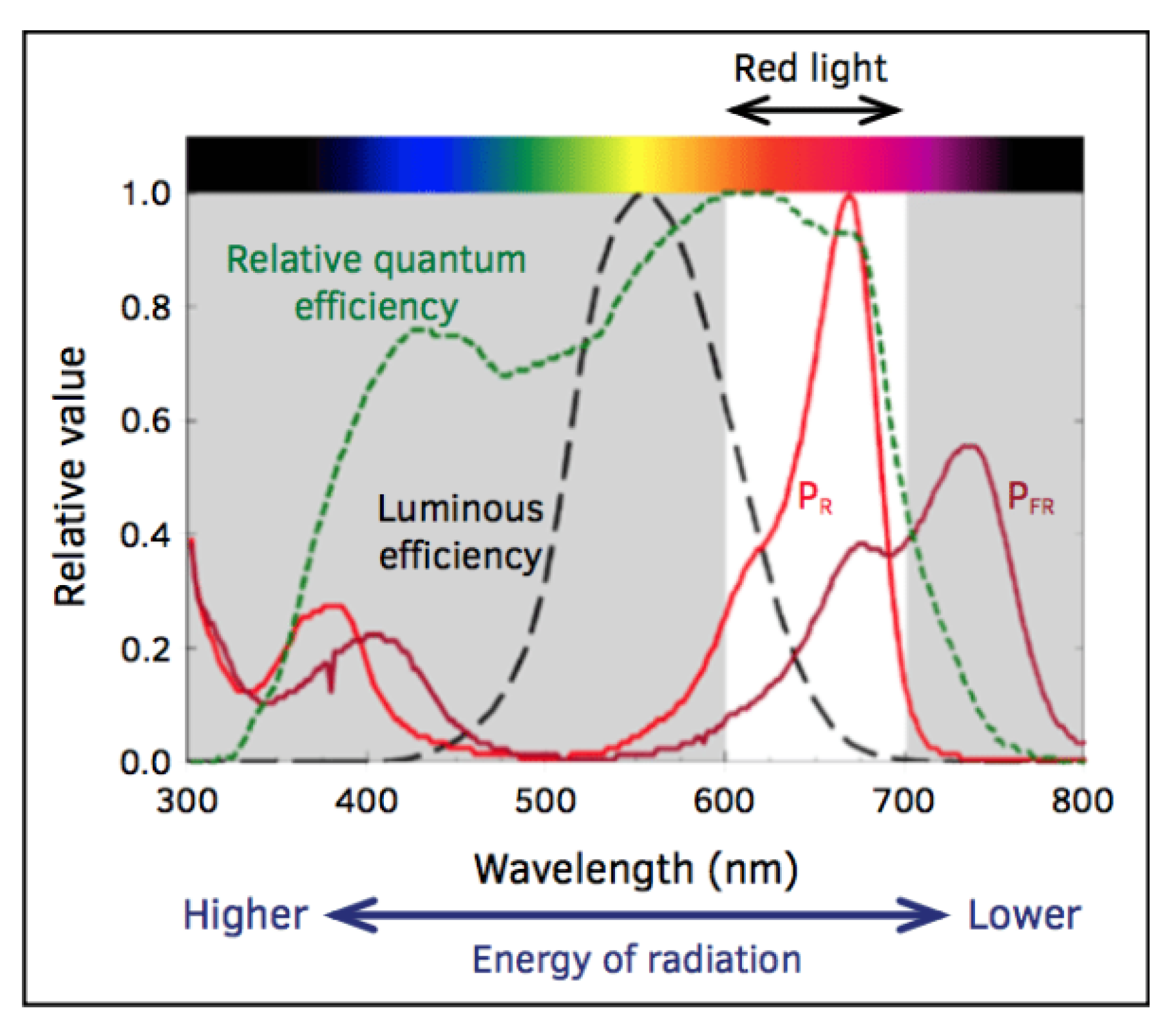 Electronics 09 01661 g006