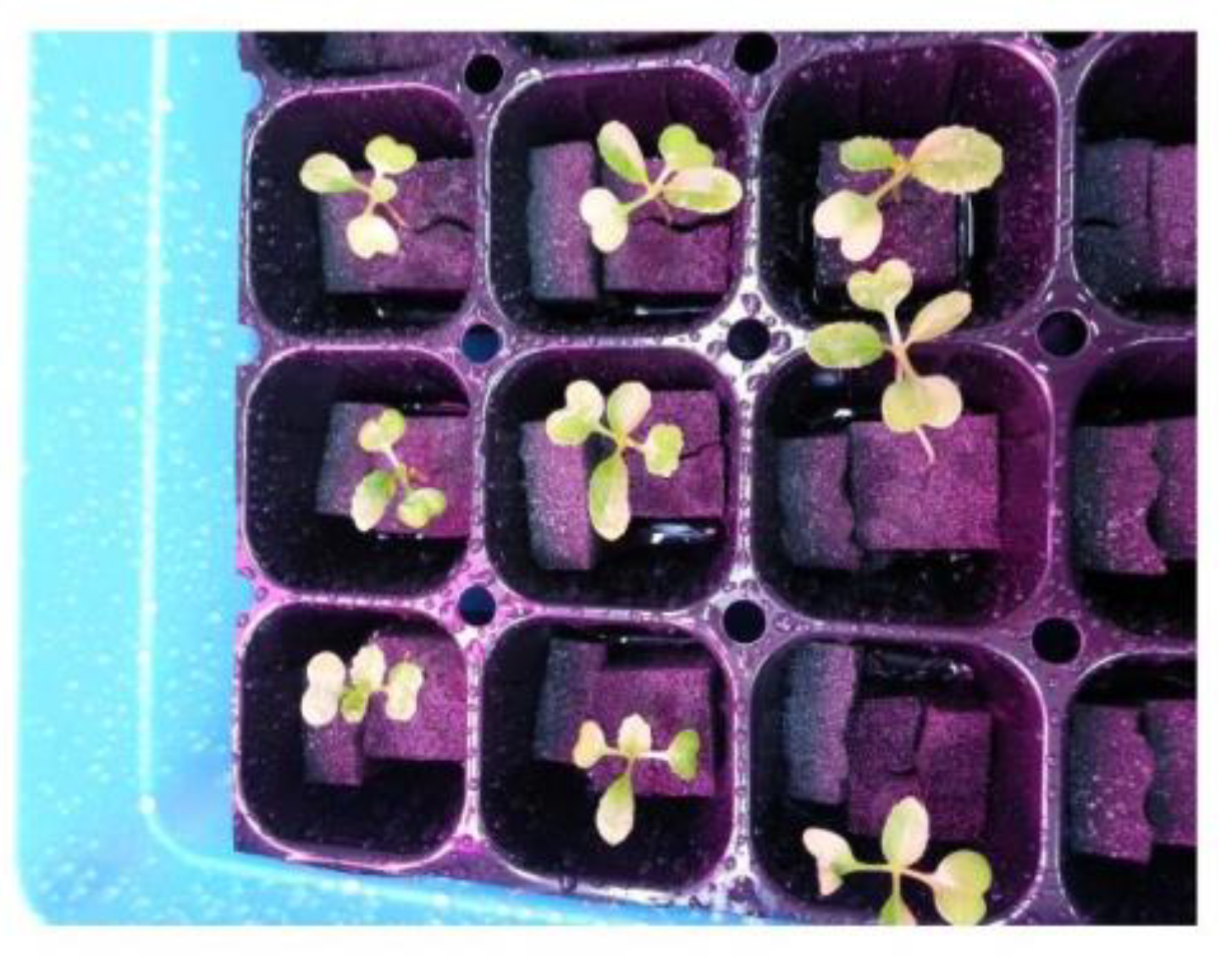 Electronics 09 01661 g014