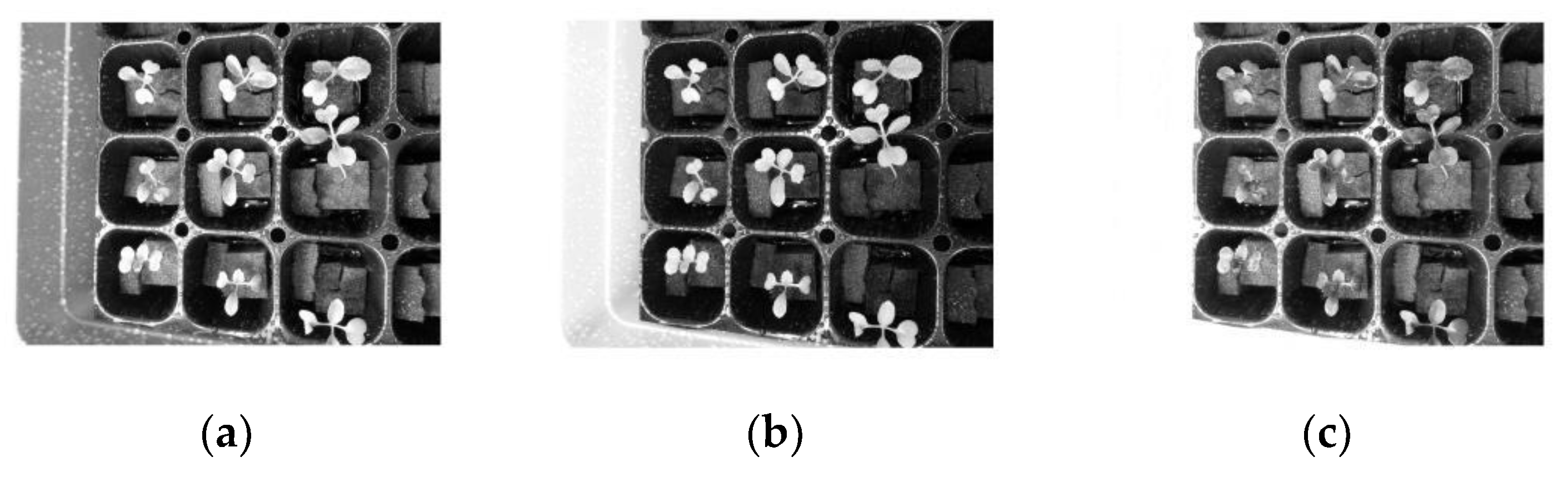 Electronics 09 01661 g015